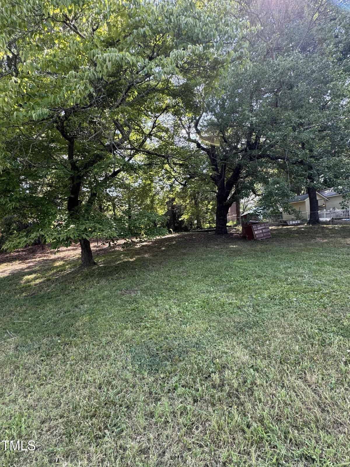 A grassy yard with two large leafy trees providing shade. Sunlight filters through the branches. A small brown shed or structure is visible near the right side, with a house partially seen in the background.