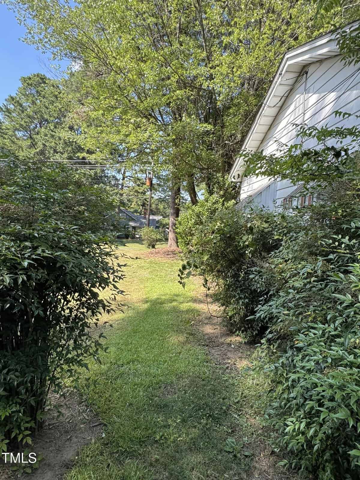 A narrow grass path runs alongside a white house, bordered by tall bushes and trees, leading to a sunlit, open yard with more trees in the background.