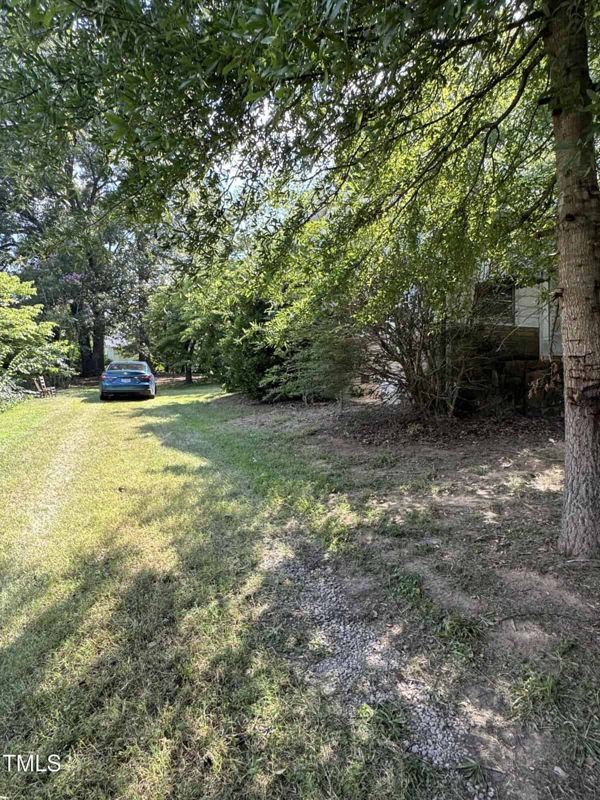 A blue car is parked on a grassy driveway lined with trees and bushes. Sunlight filters through the leaves, casting dappled shadows on the grass. A house is partially visible on the right.