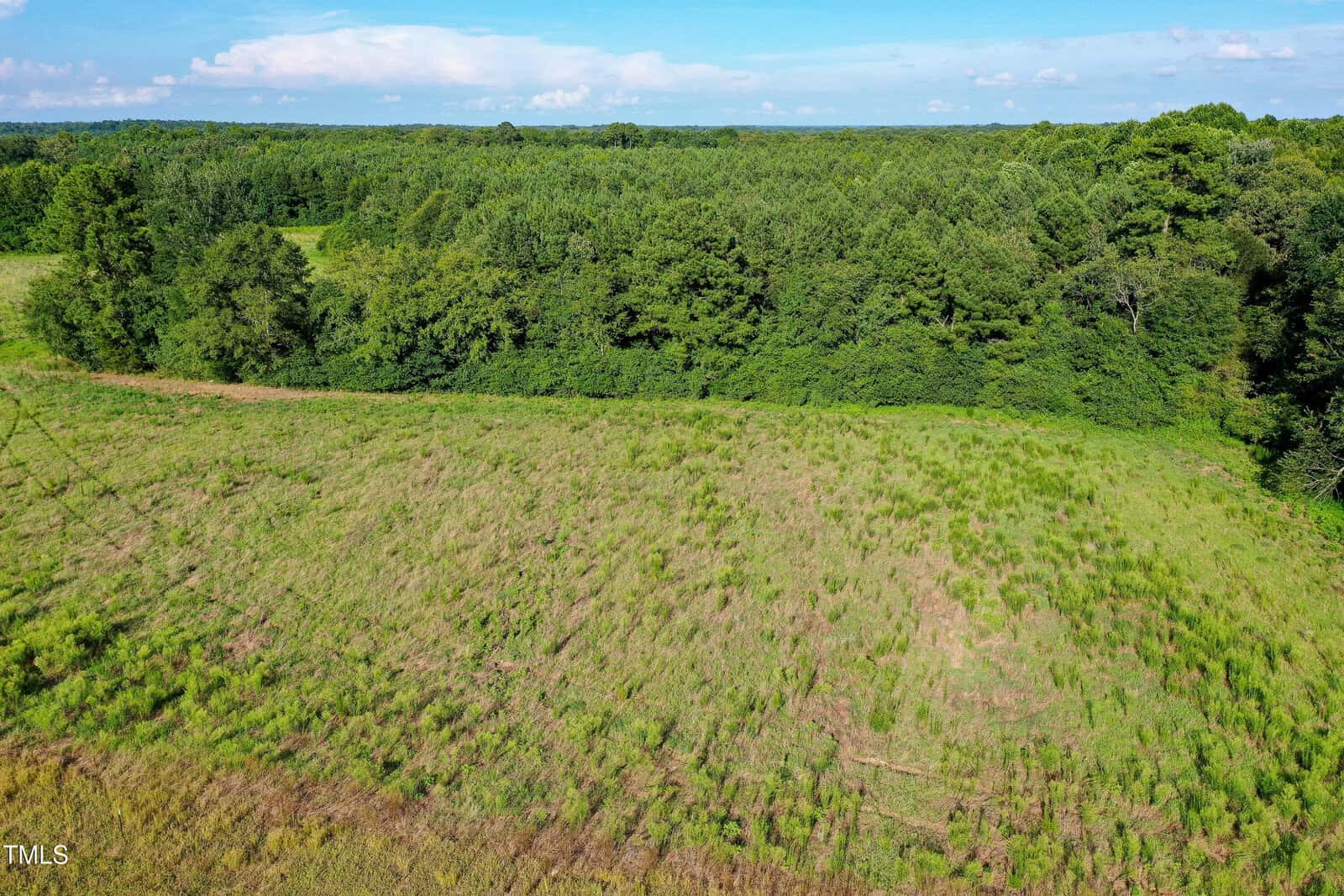 A grassy, slightly sloped field with patches of taller weeds in the foreground, bordered by a dense green forest under a blue sky with scattered clouds.