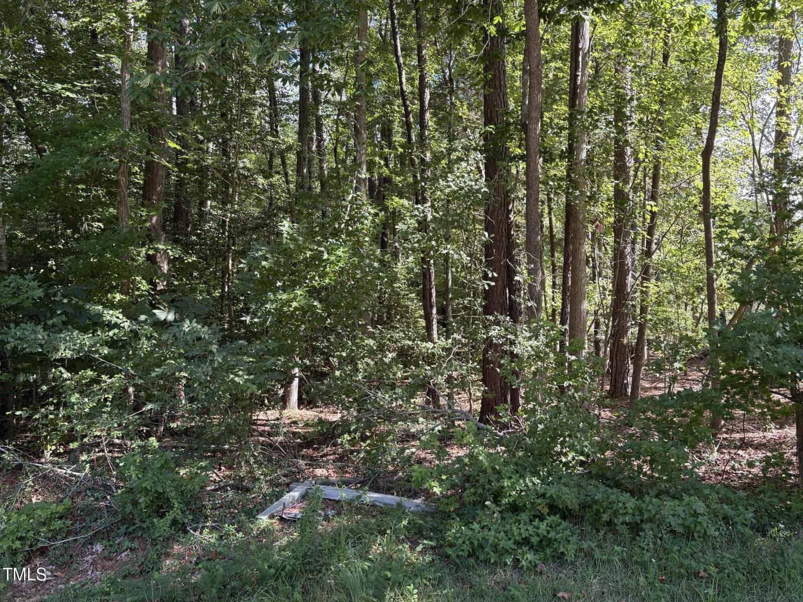 A wooded area with tall trees, dense green foliage, and sunlight filtering through the leaves. There is a small patch of ground with some debris or discarded items near the center bottom of the image.
