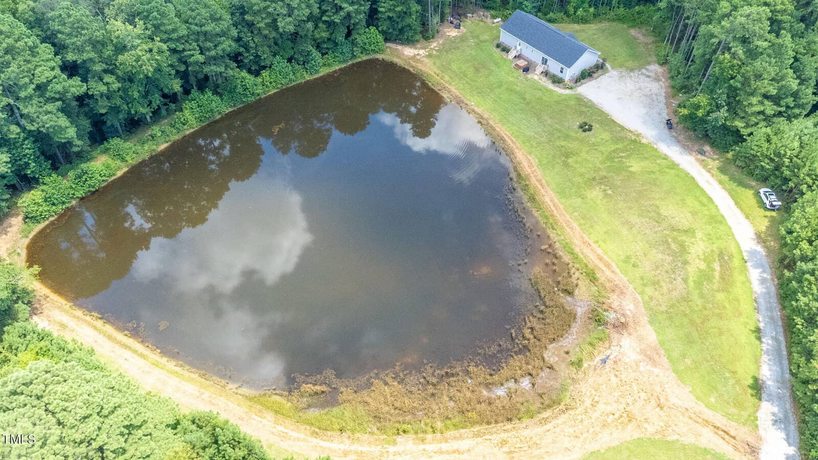 A pond surrounded by trees.