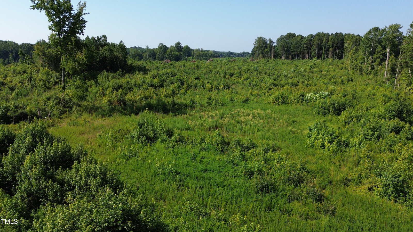 A wide, open field with tall grass and scattered shrubs, surrounded by dense trees and greenery under a clear blue sky.