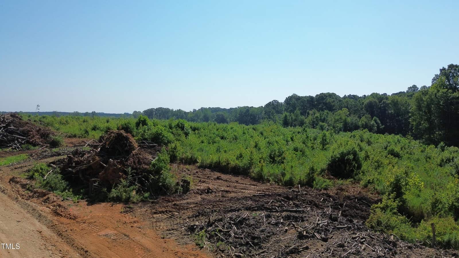 A cleared area of land with scattered tree stumps, dirt, and brush piles sits beside a dense forest under a clear blue sky, indicating recent deforestation or land clearing.