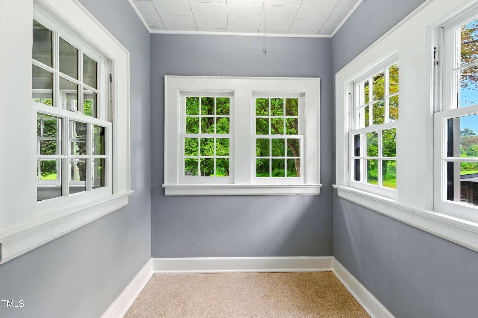 A small enclosed room with gray walls, three sets of white-trimmed windows, beige carpet flooring, and a ceiling light, providing a clear view of green trees outside.