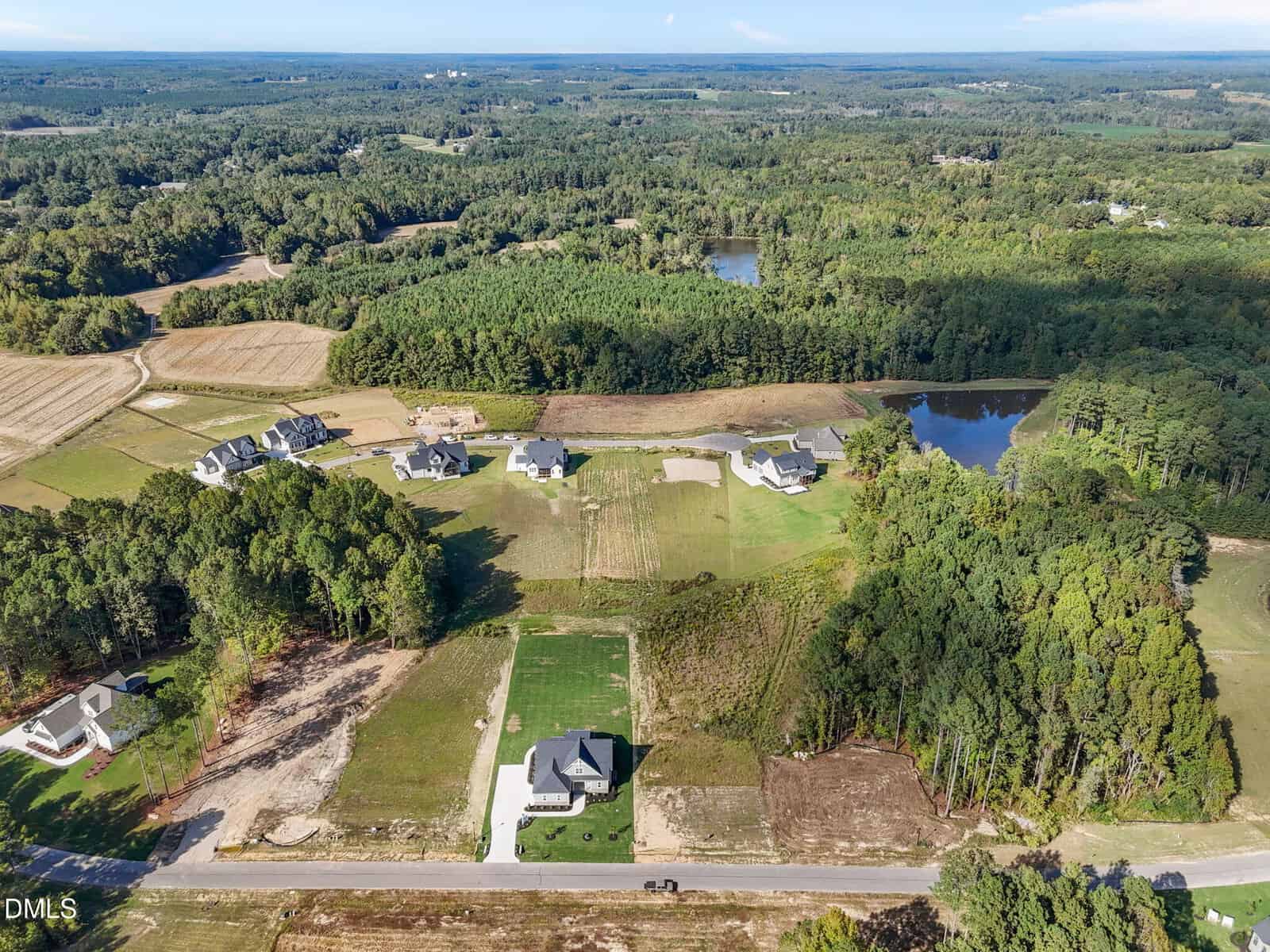 Aerial view of a rural neighborhood with several houses spaced far apart, surrounded by trees, fields, and a pond. A main road runs along the foreground, and dense forest stretches into the distance.