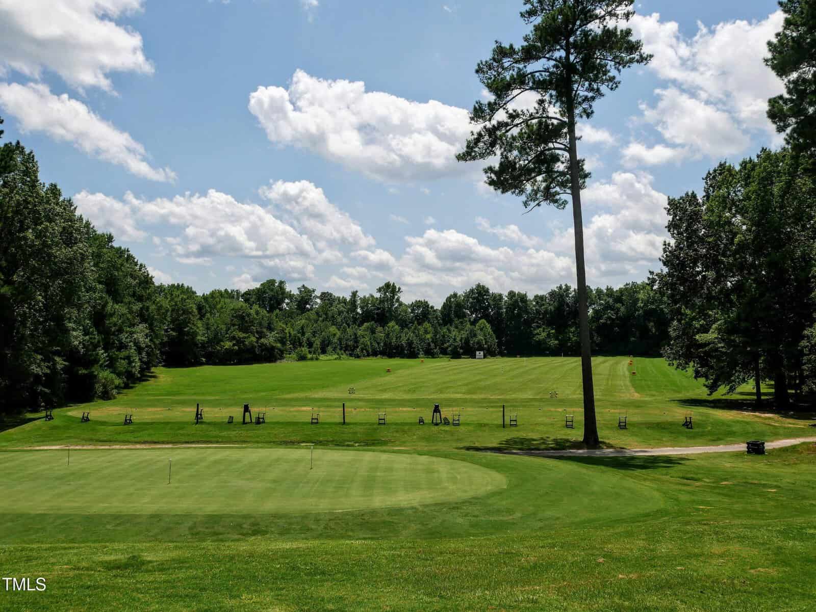 A scenic golf course with a putting green in the foreground, a tree-lined driving range in the background, and a partly cloudy sky overhead.