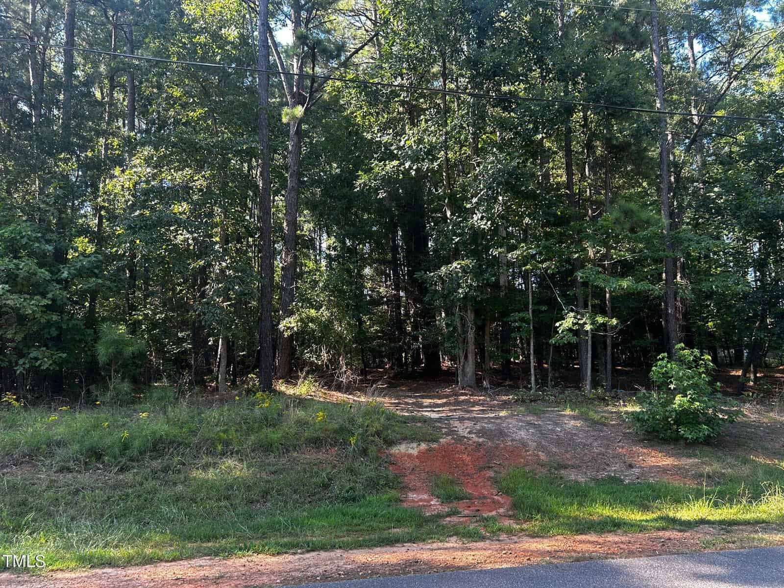 A narrow dirt path leads from the edge of a paved road into a dense, sunlit forest with tall green trees and thick underbrush. Power lines run overhead across the scene.