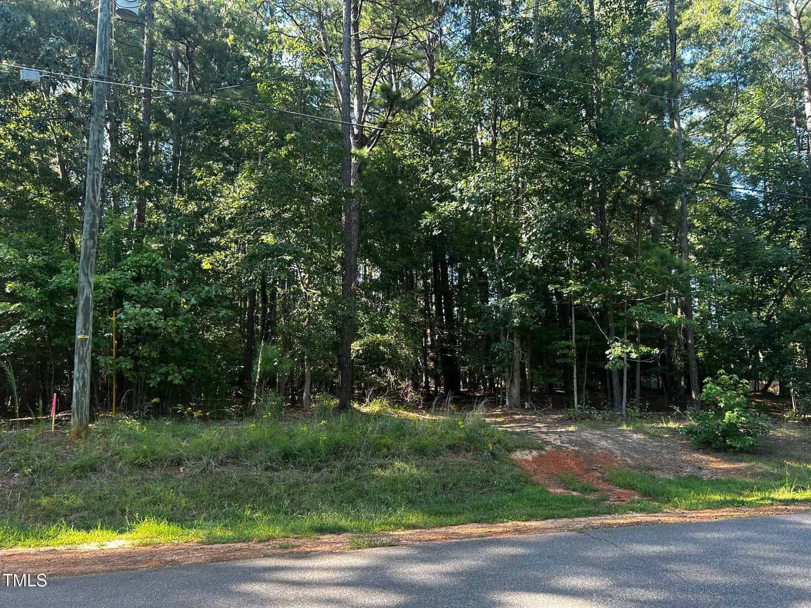 A paved road runs alongside a grassy roadside with a utility pole and power lines. Dense green trees and underbrush form a wooded area in the background under bright daylight.