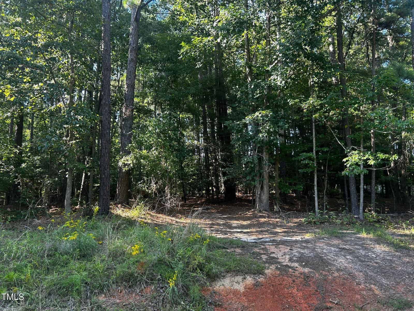 A dirt path leads into a dense, sunlit forest with tall green trees and undergrowth. Wildflowers and grass grow along the edge of the woods, and sunlight filters through the leaves.