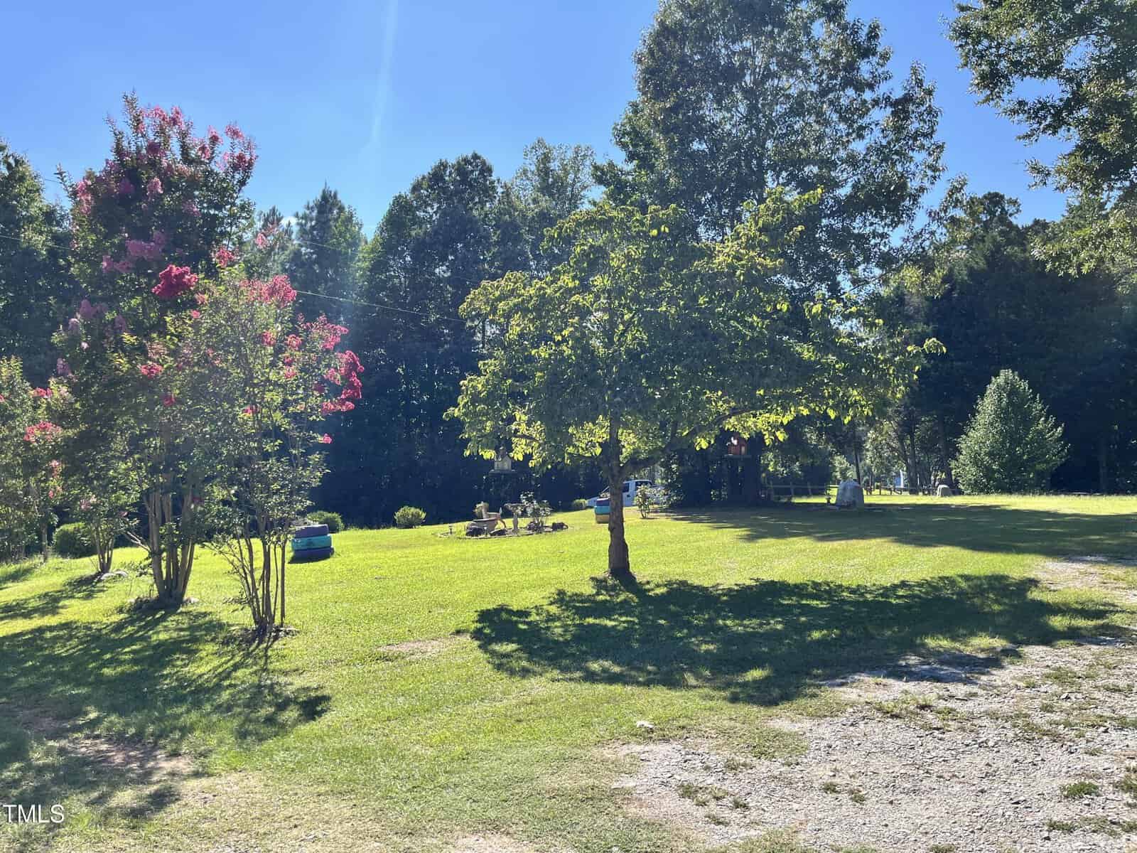 A sunny backyard with green grass, scattered trees, and a few small bushes. Shadows from trees fall on the lawn, and a fire pit area is visible in the distance. The sky is clear and bright blue.