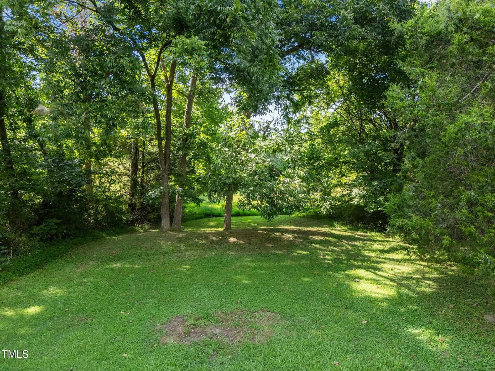 A grassy backyard with scattered trees and dense greenery, providing shade and a peaceful, natural setting. Sunlight filters through the leaves, creating dappled light on the ground.