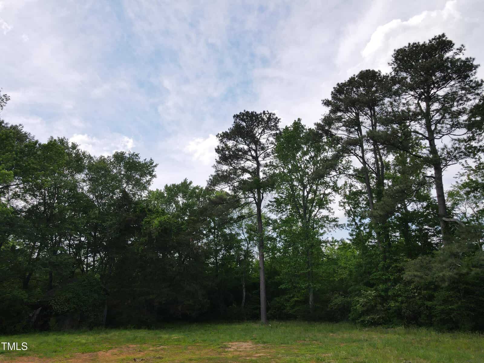 Tall pine trees stand against a partly cloudy sky, with dense green foliage below and a patch of grass in the foreground.