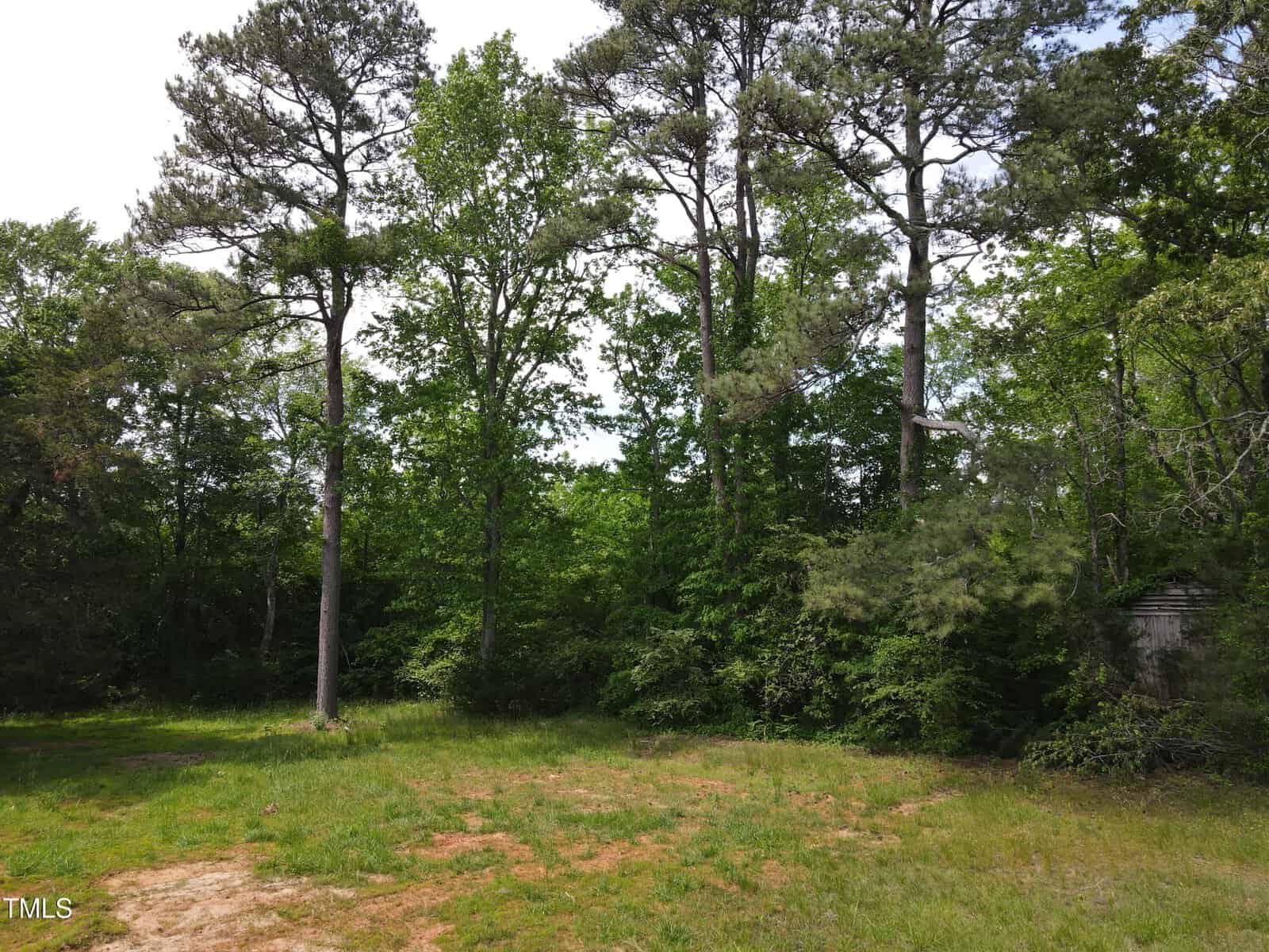 A grassy clearing with patches of bare soil is bordered by tall pine trees and dense green foliage under a partly cloudy sky.