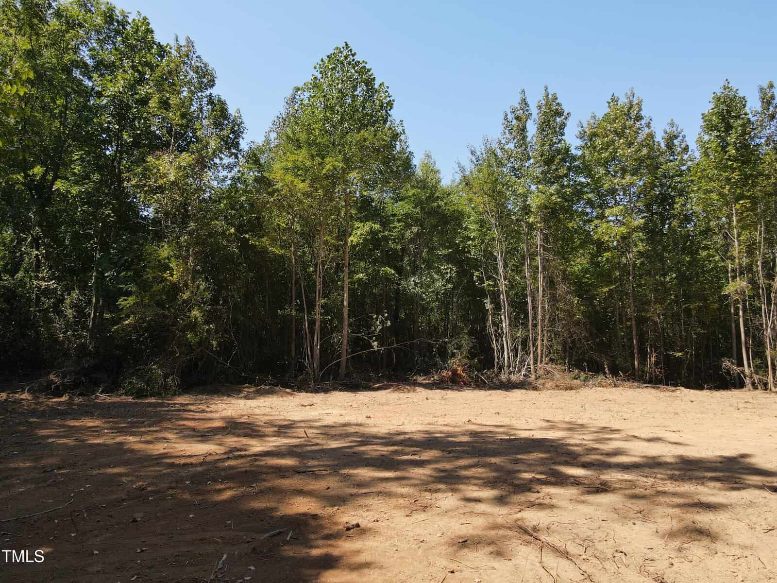 A cleared, dirt-covered area is surrounded by tall trees under a clear blue sky. Shadows from the trees stretch across the ground, and dense forest borders the clearing.