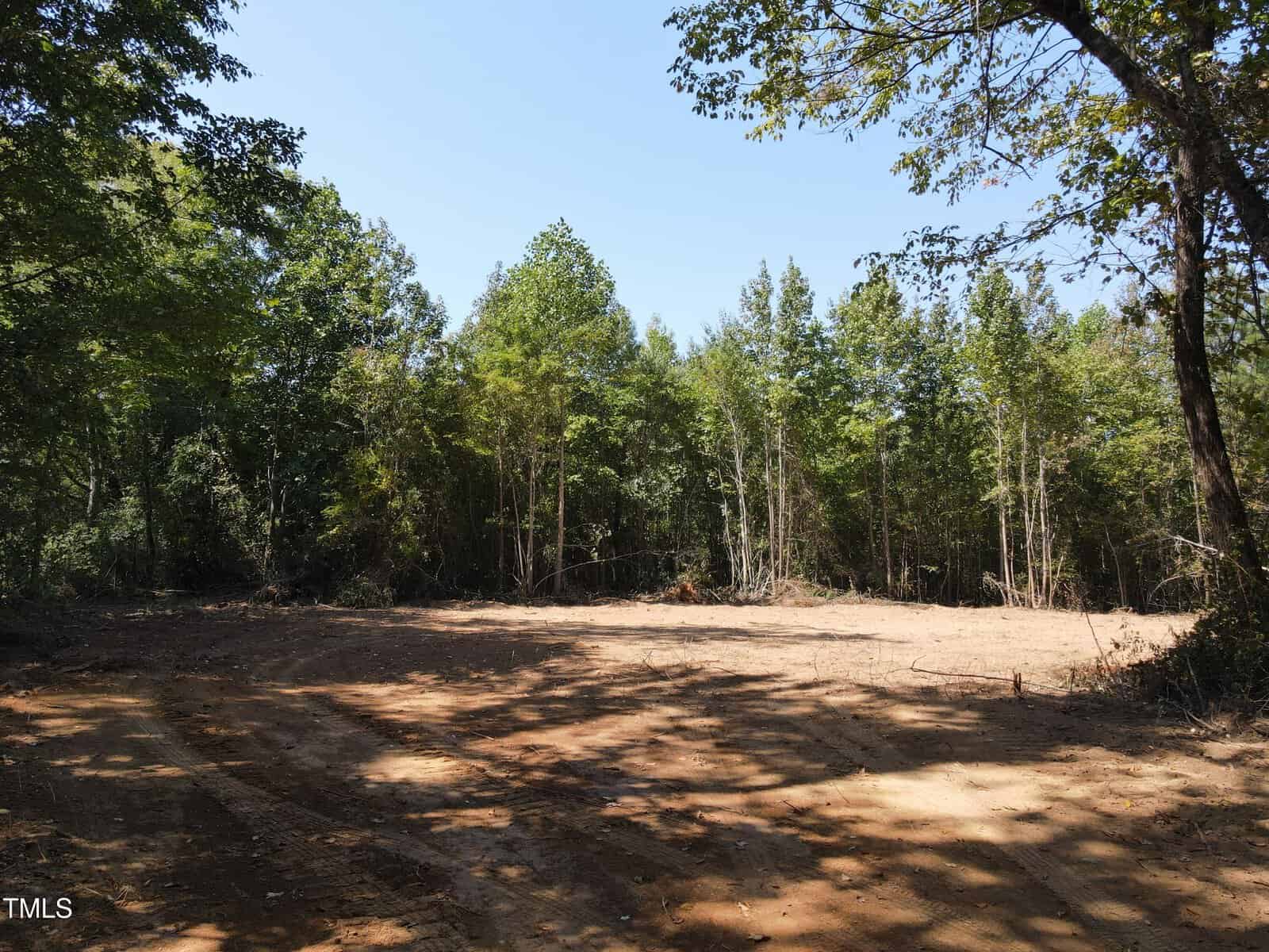 A cleared dirt area surrounded by trees under a clear blue sky, with tire tracks visible on the ground and sunlight filtering through the foliage.