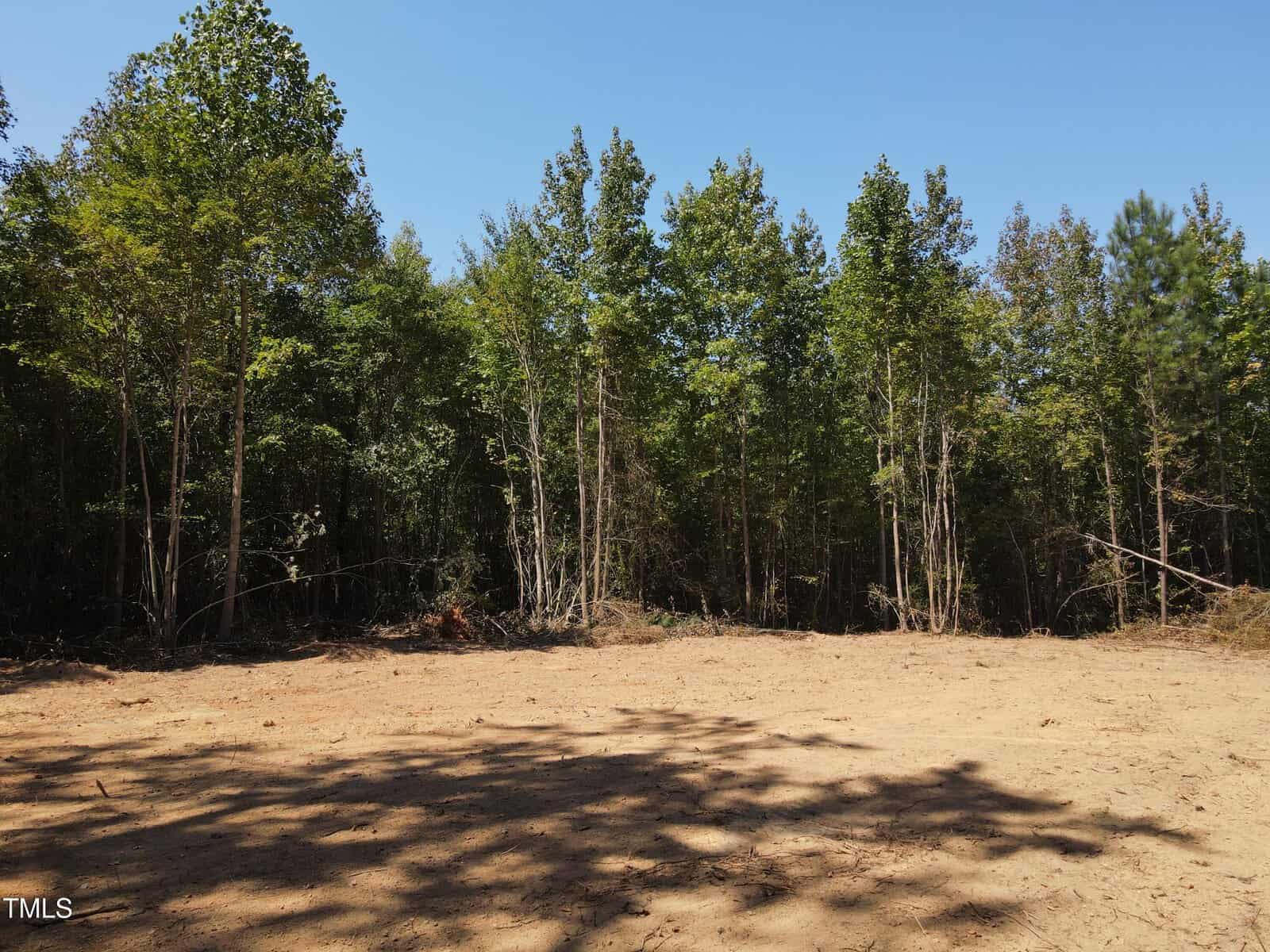A cleared plot of sandy soil sits in front of a line of tall, leafy trees under a clear blue sky, with shadows of trees cast on the ground.