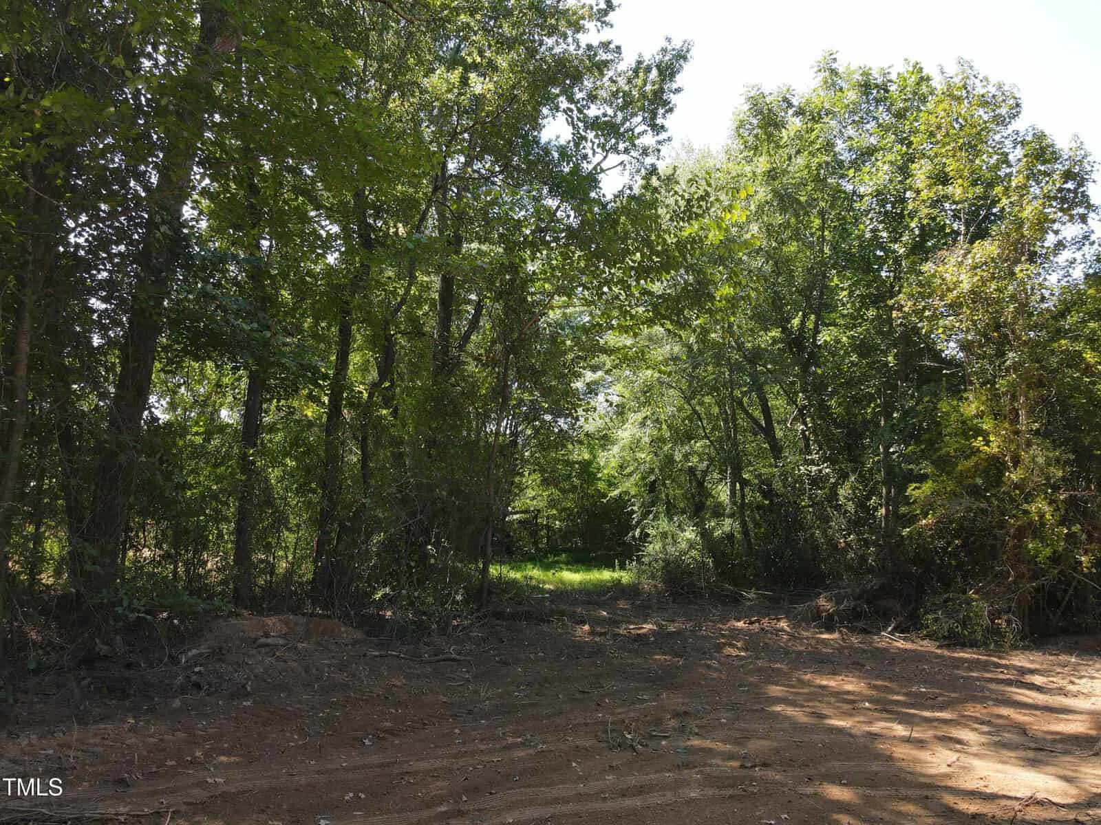 A cleared dirt area at the edge of a dense, green forest with sunlight filtering through the trees. Shadows from the trees cover parts of the ground, and the forest appears lush and untouched beyond the clearing.