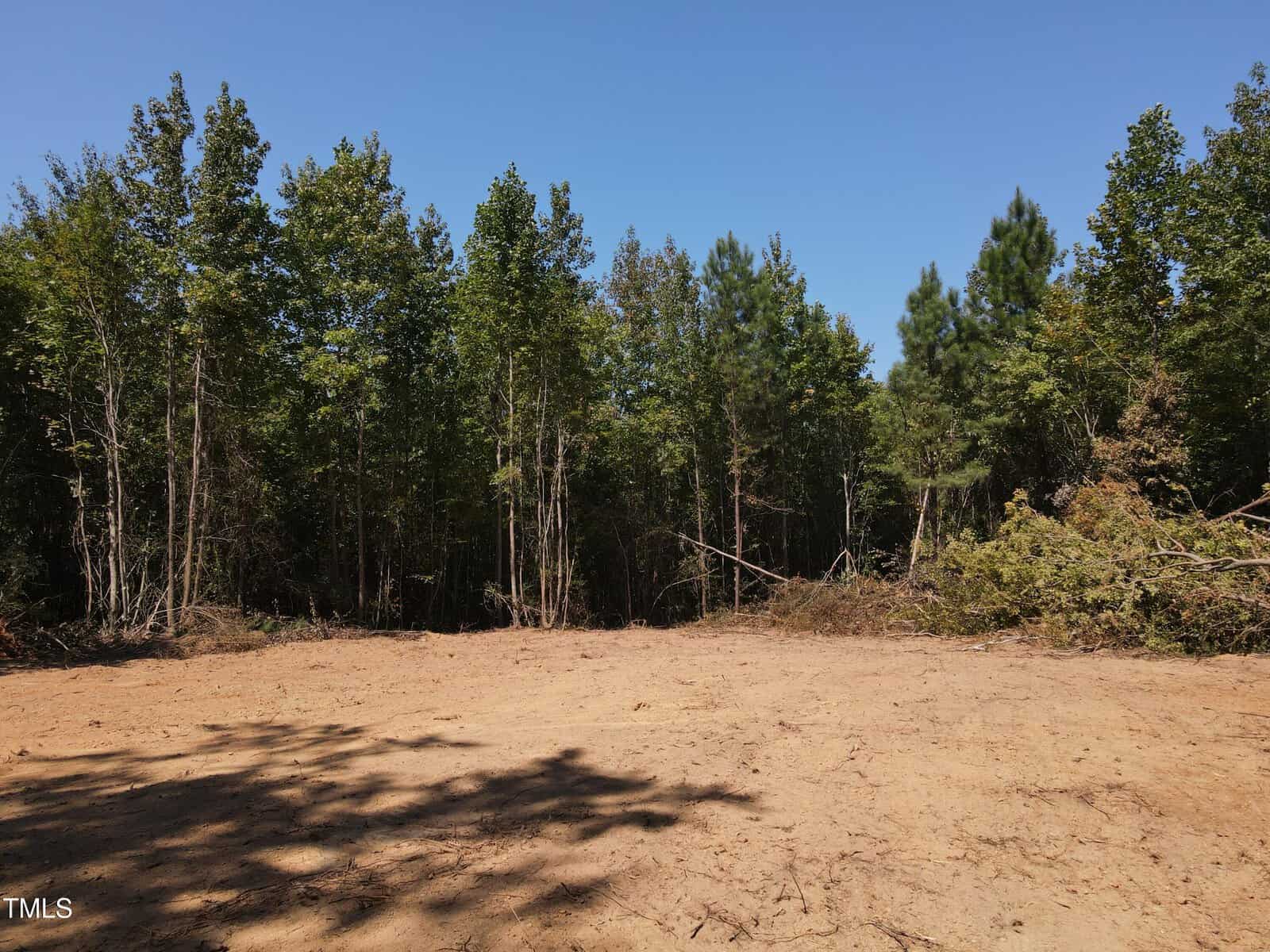 A cleared dirt area bordered by tall green trees under a clear blue sky, with some scattered branches and debris along the forest edge.