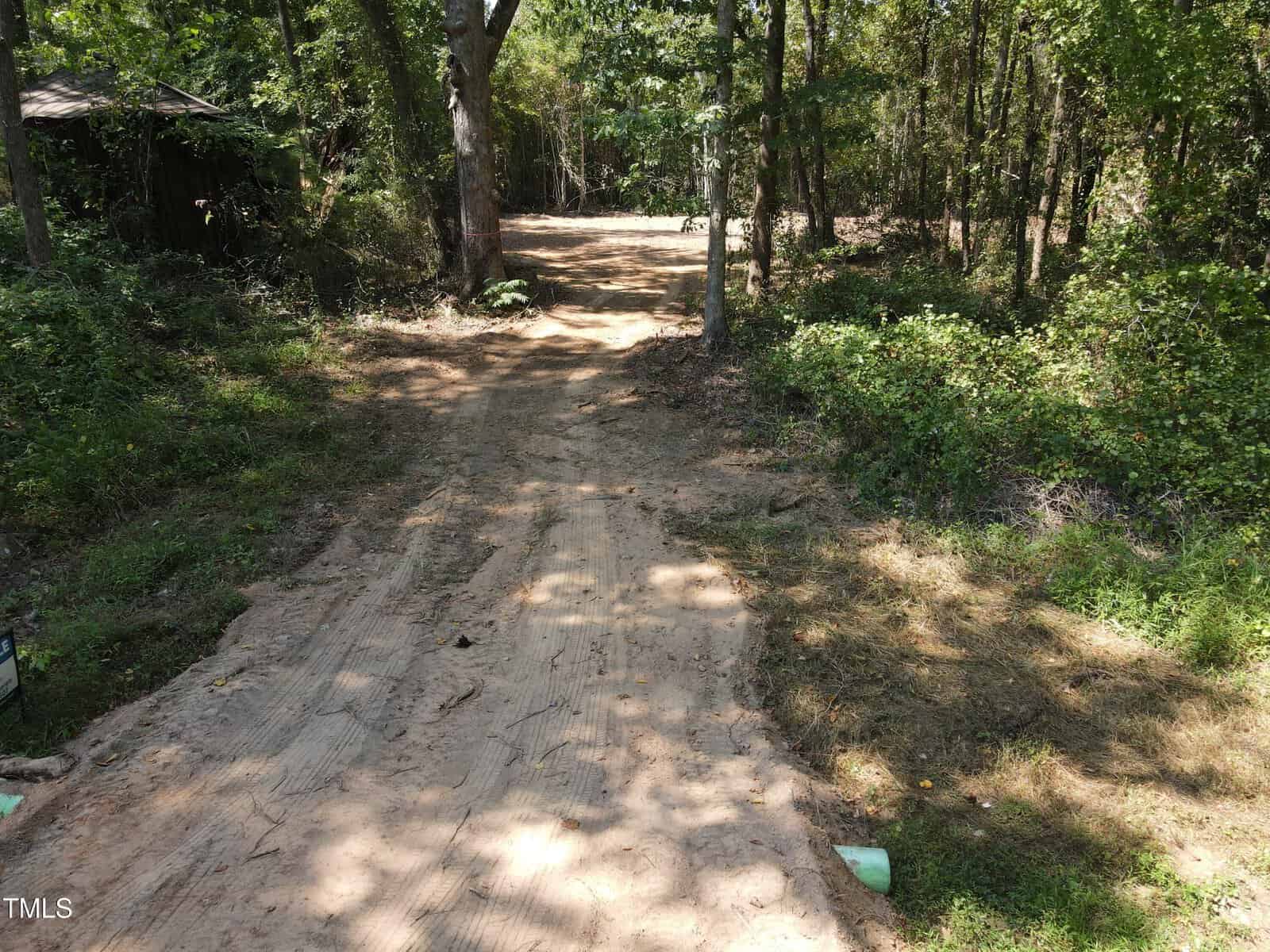 A dirt path leads through a wooded area with tall trees and dense greenery on both sides. Sunlight filters through the leaves, casting dappled shadows on the ground. A small shed is partially visible to the left.