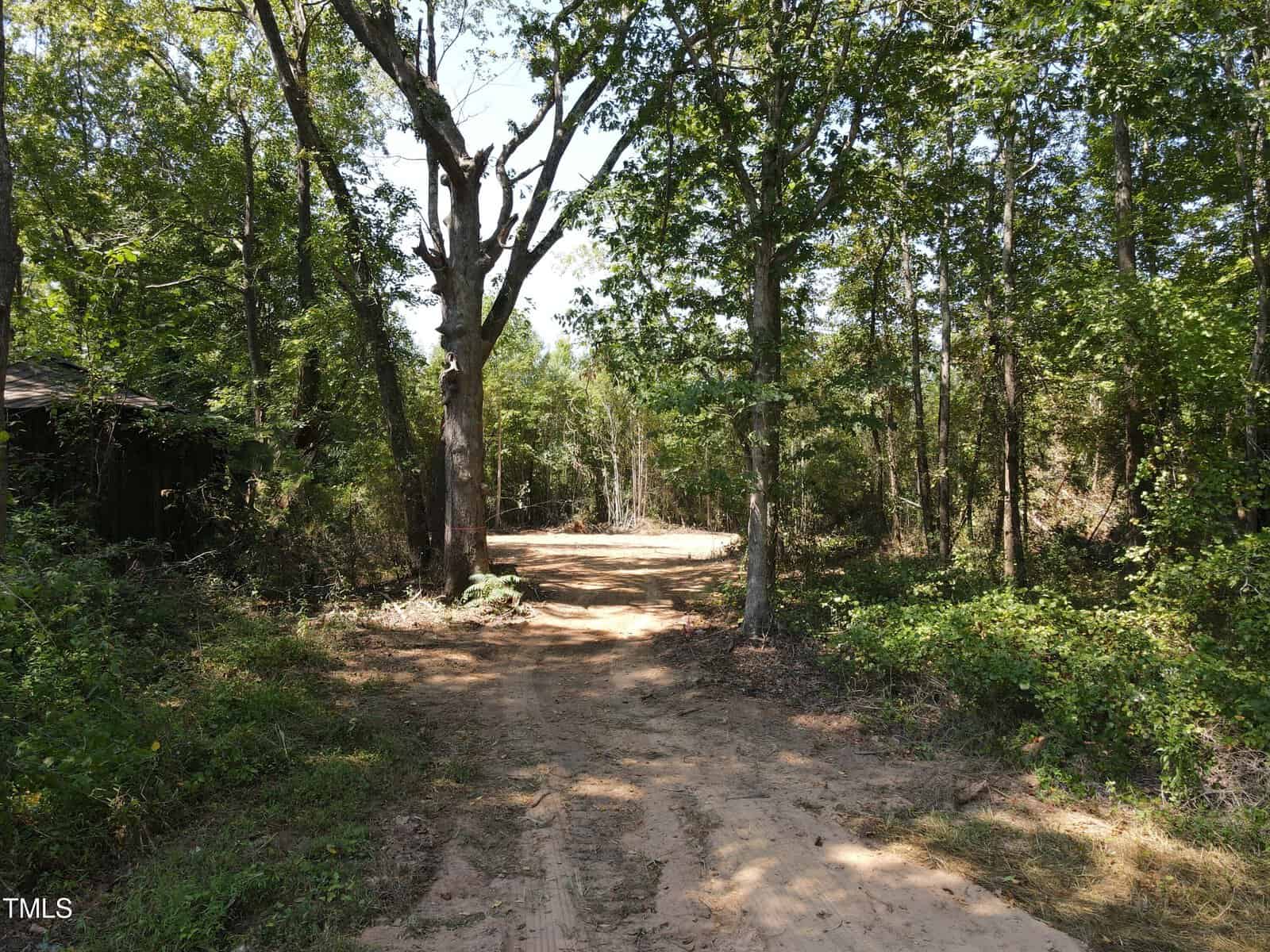 A dirt path winds through a wooded area with tall green trees on both sides under a clear sky, sunlight filtering through the branches, and dense foliage surrounding the trail.