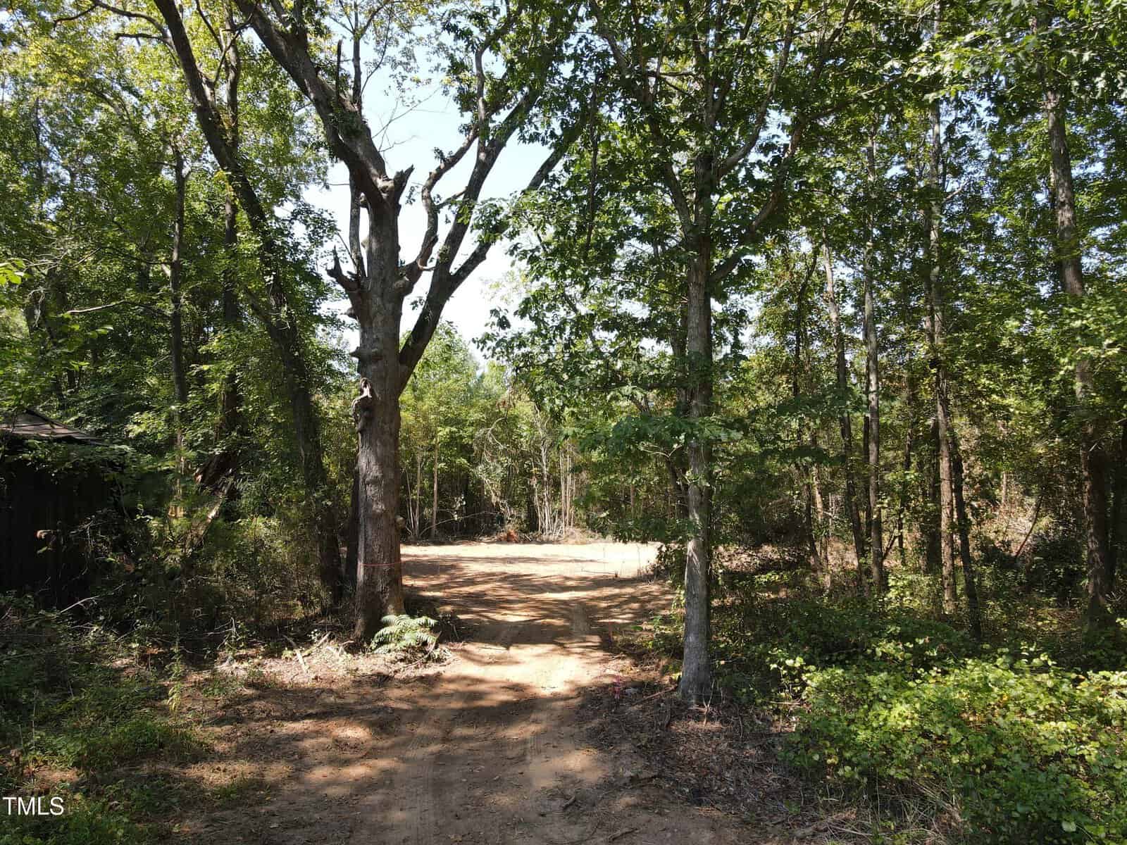 A dirt path winds through a wooded area with tall trees and dense green foliage on both sides under a clear sky. Sunlight filters through the branches, casting dappled shadows on the ground.