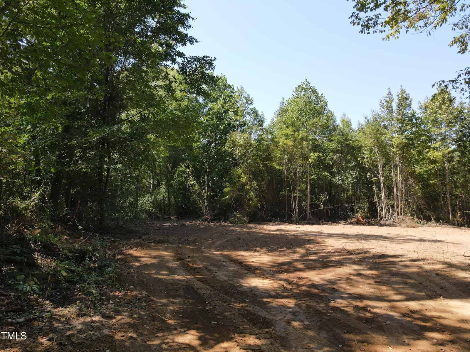 A cleared dirt area with tire tracks is surrounded by dense trees and greenery under a clear blue sky. Sunlight filters through the leaves, casting shadows on the ground.