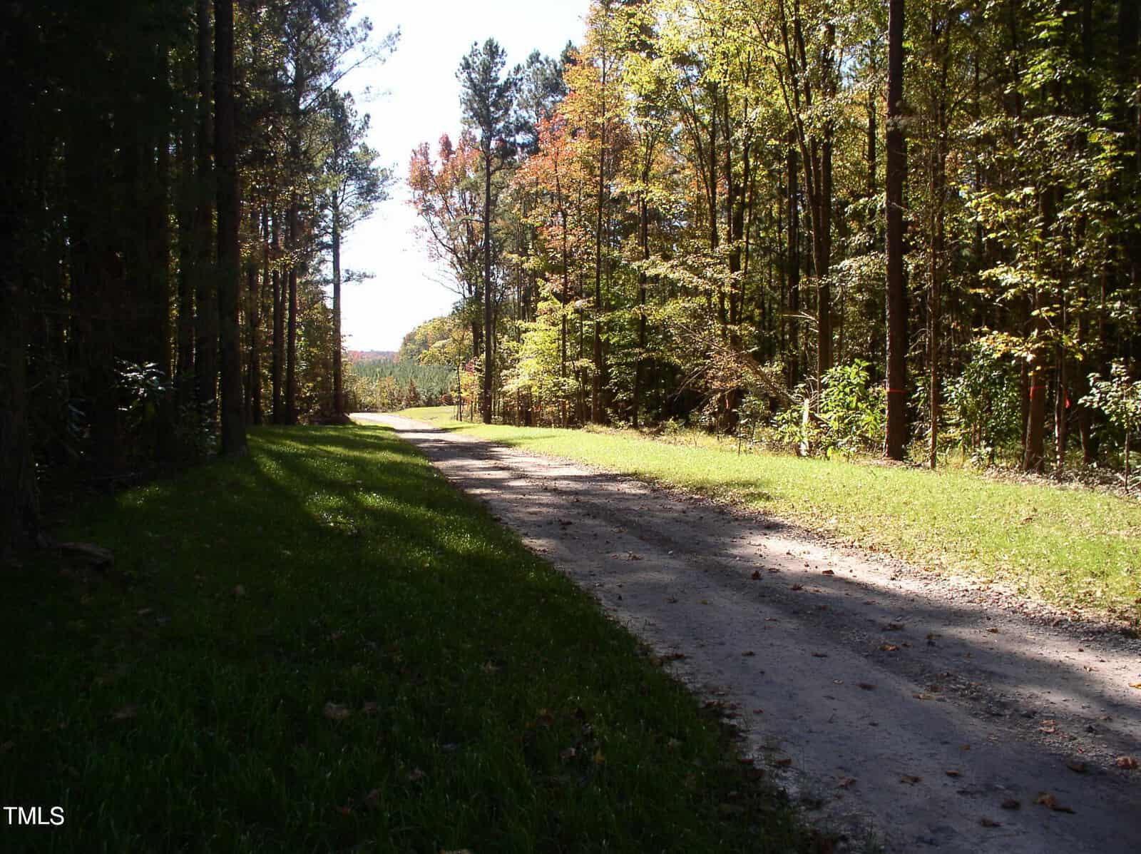 A dirt road curves through a wooded area with tall trees on both sides at 517 Pinecone Lane, Henderson. Sunlight filters through the leaves, casting shadows on the grass and road in this calm, natural scene.
