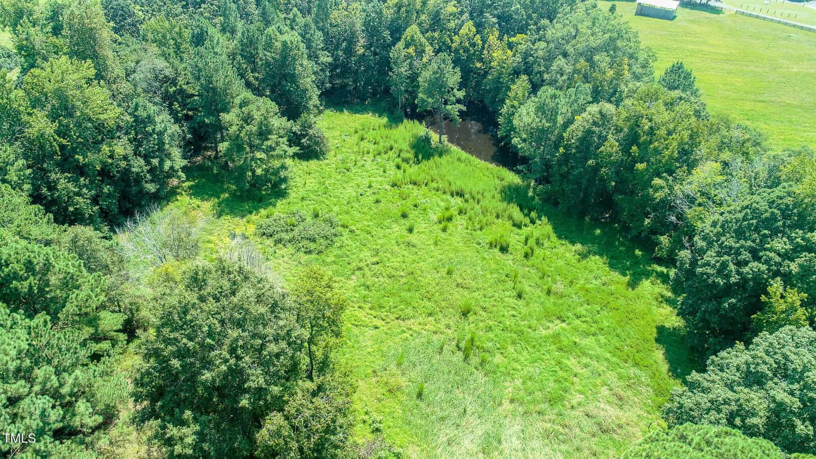Aerial view of a grassy field surrounded by dense trees, with a small pond partially visible near the top center of the image under tree cover on a sunny day.