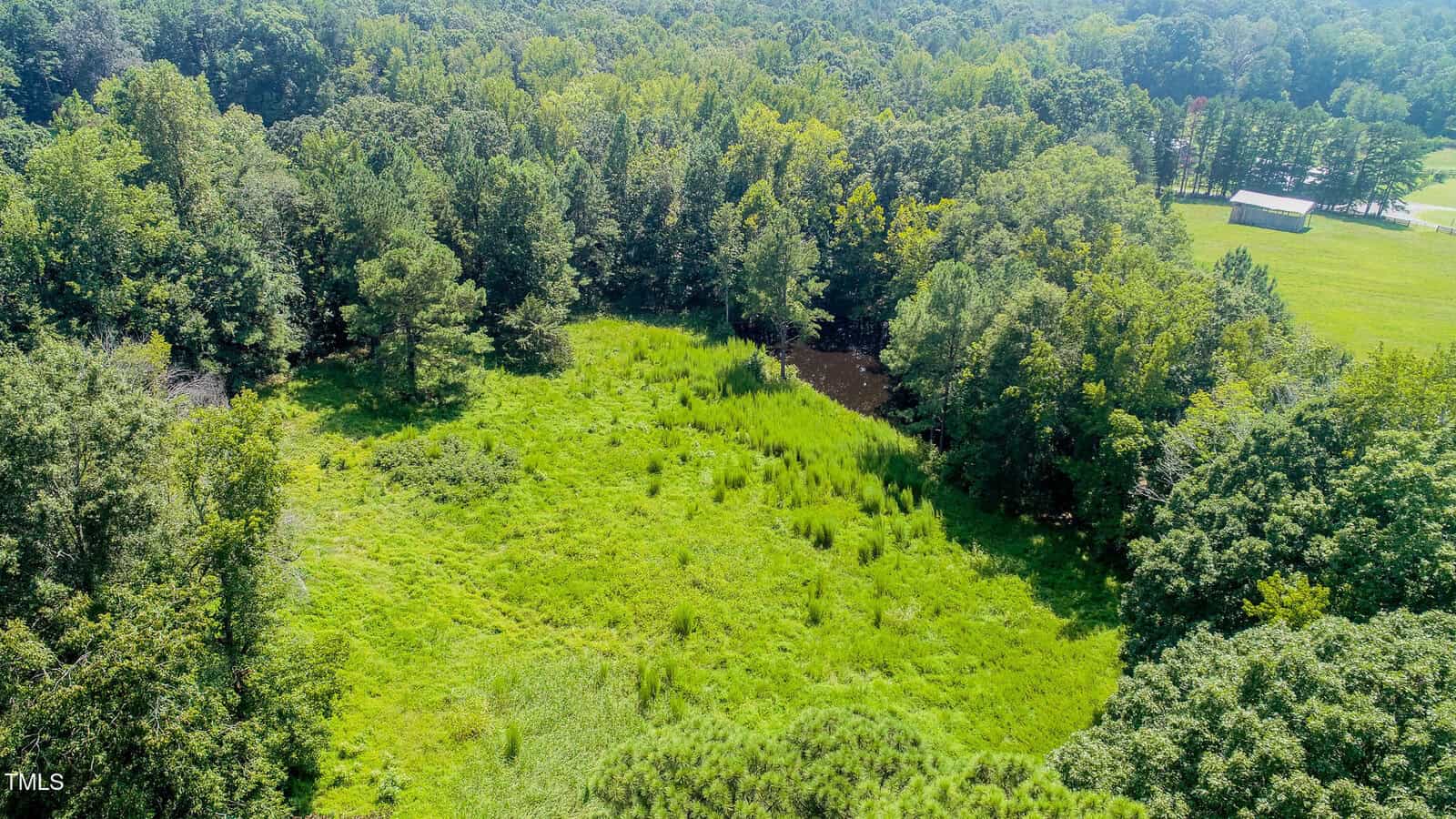 Aerial view of a grassy clearing surrounded by dense trees, with a small pond partially visible near the edge of the woods and a barn-like structure in the background.