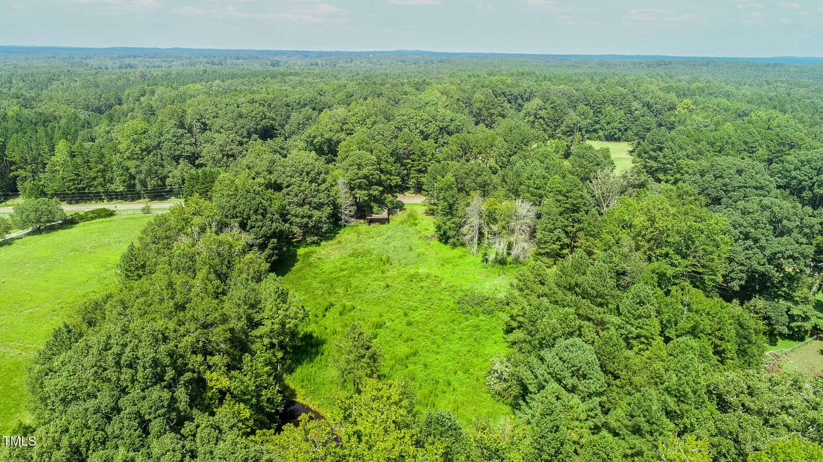Aerial view of a grassy clearing surrounded by dense forest, with scattered trees and a small structure partially visible near the center left; blue sky with light clouds overhead.