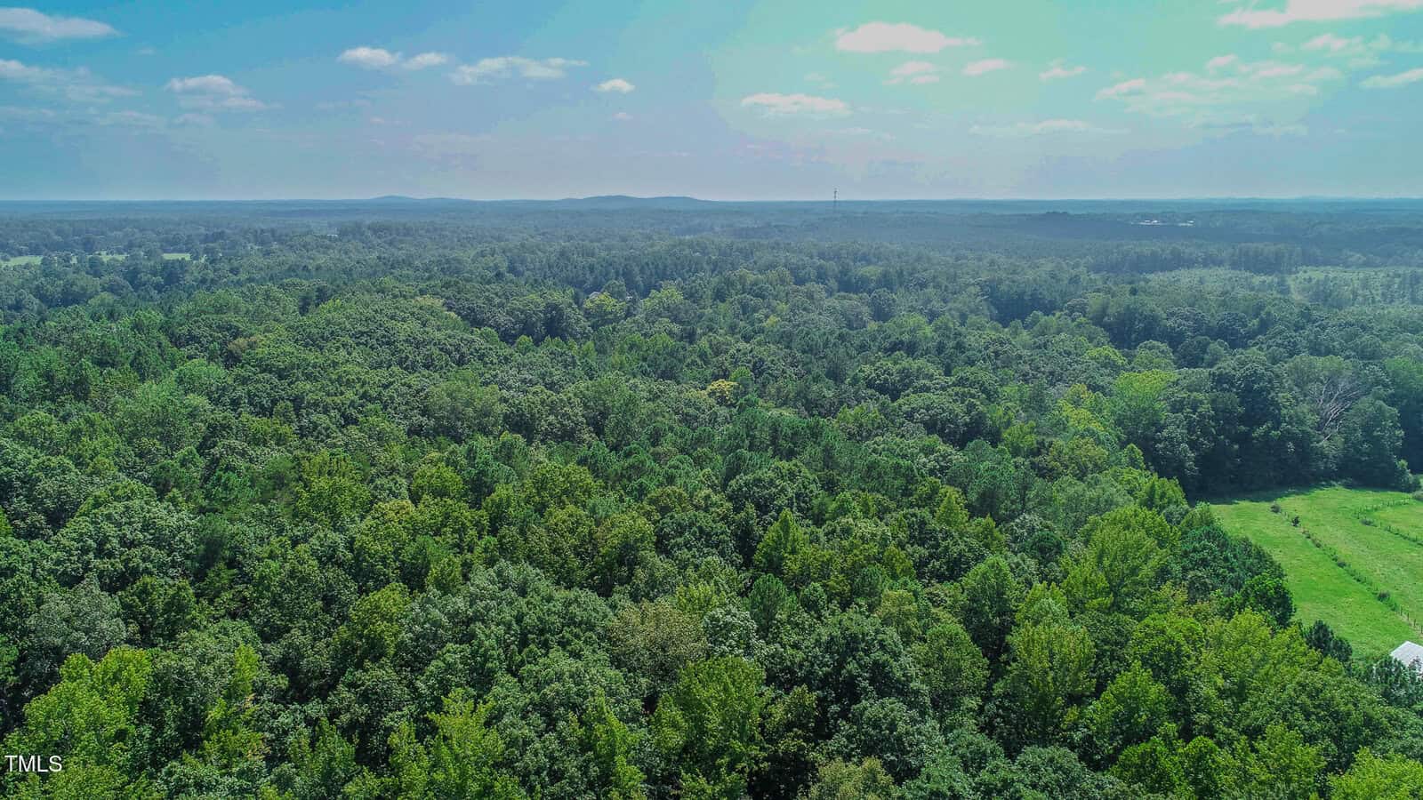 Aerial view of a dense, green forest stretching across the landscape under a partly cloudy sky, with a small clearing and grassy area visible in the lower right corner.