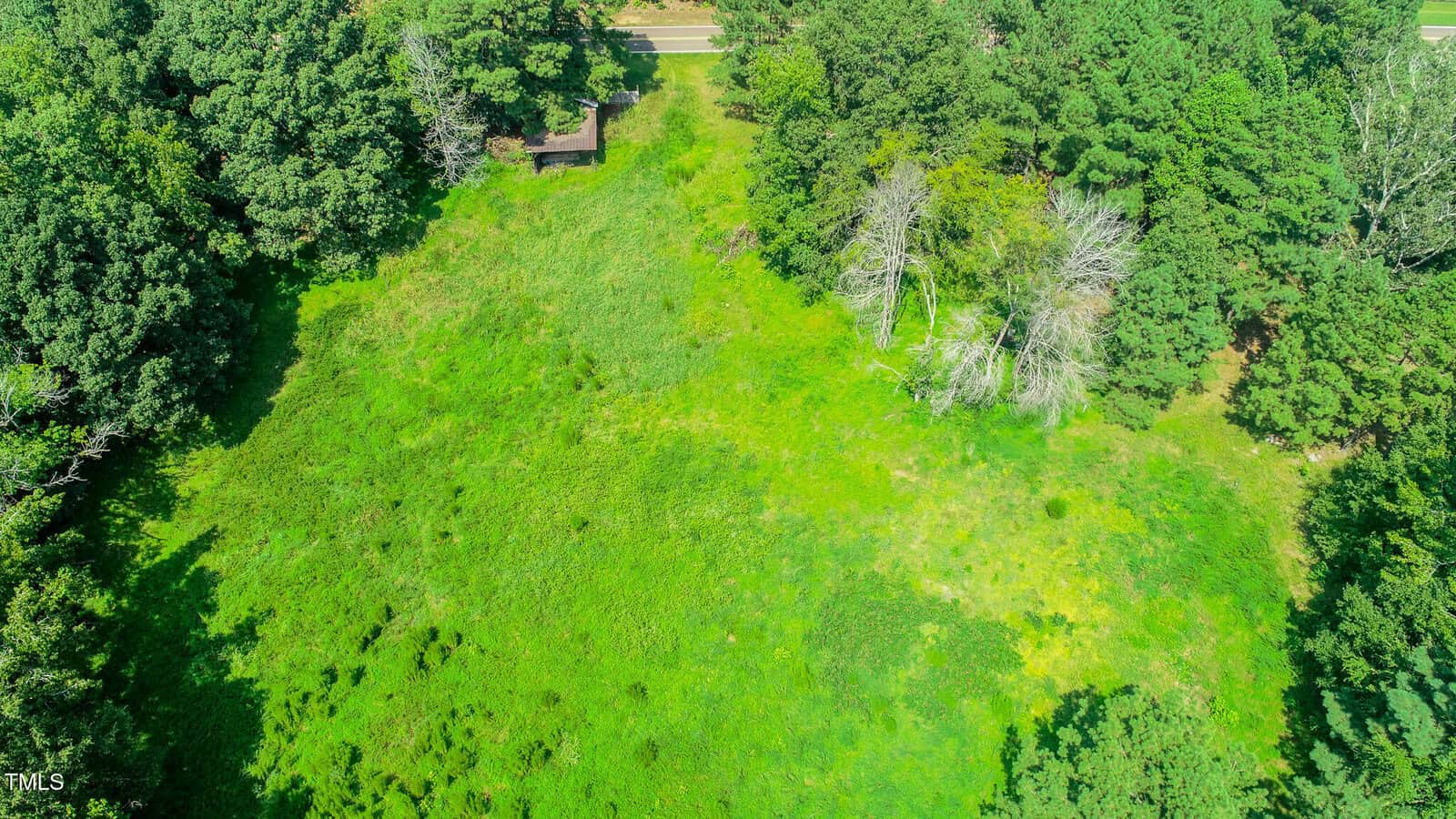 Aerial view of a grassy, open clearing surrounded by dense trees, with a small building near a road at the top of the image.