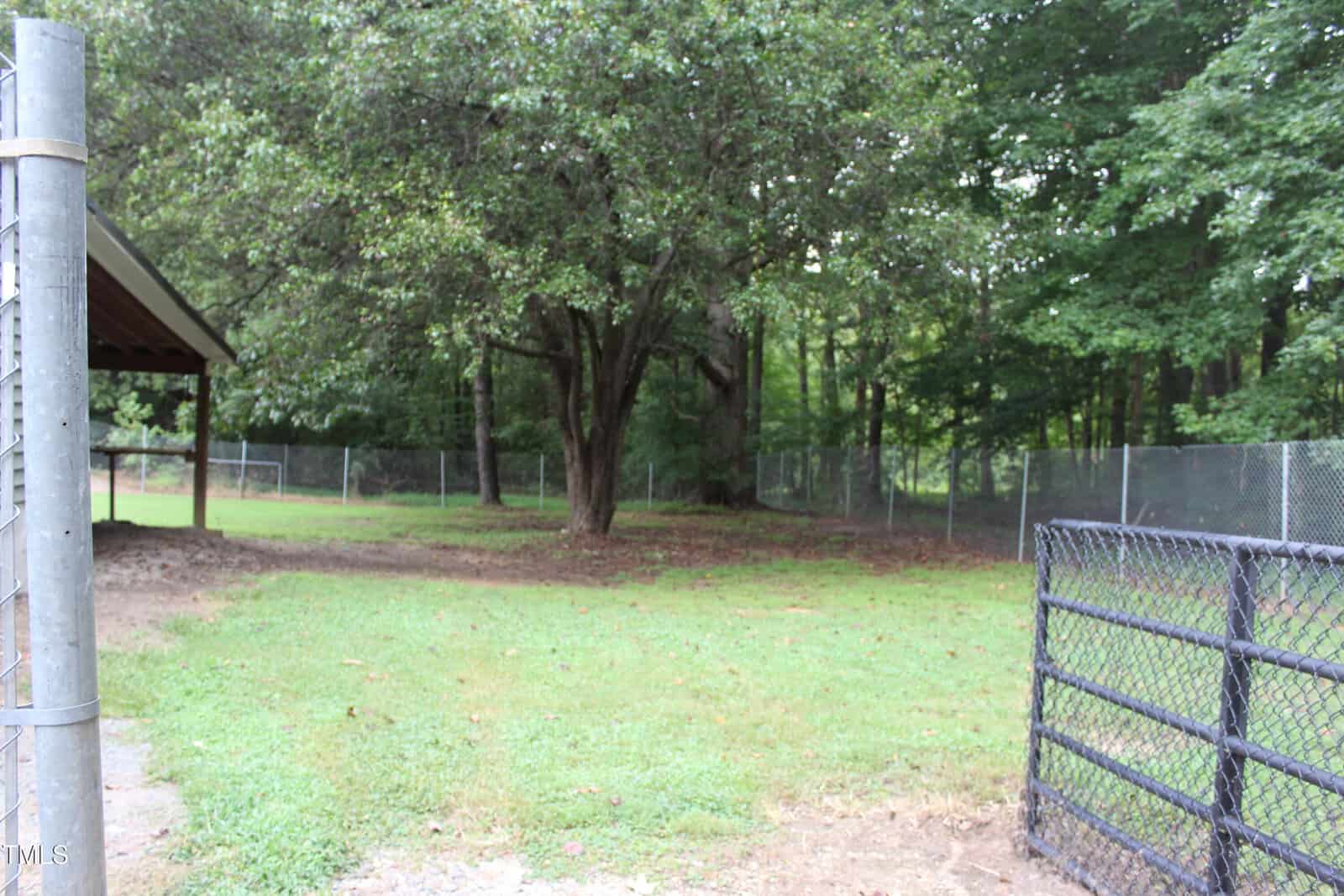 A fenced yard with green grass, trees, and a metal gate. A shelter with a slanted roof is on the left. Dense woods fill the background.