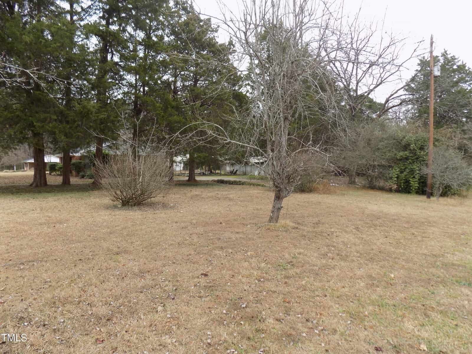 A grassy yard with several leafless trees and shrubs, bordered by tall evergreen trees and bushes. A utility pole stands on the right side. Houses are partially visible in the background. The sky is overcast.