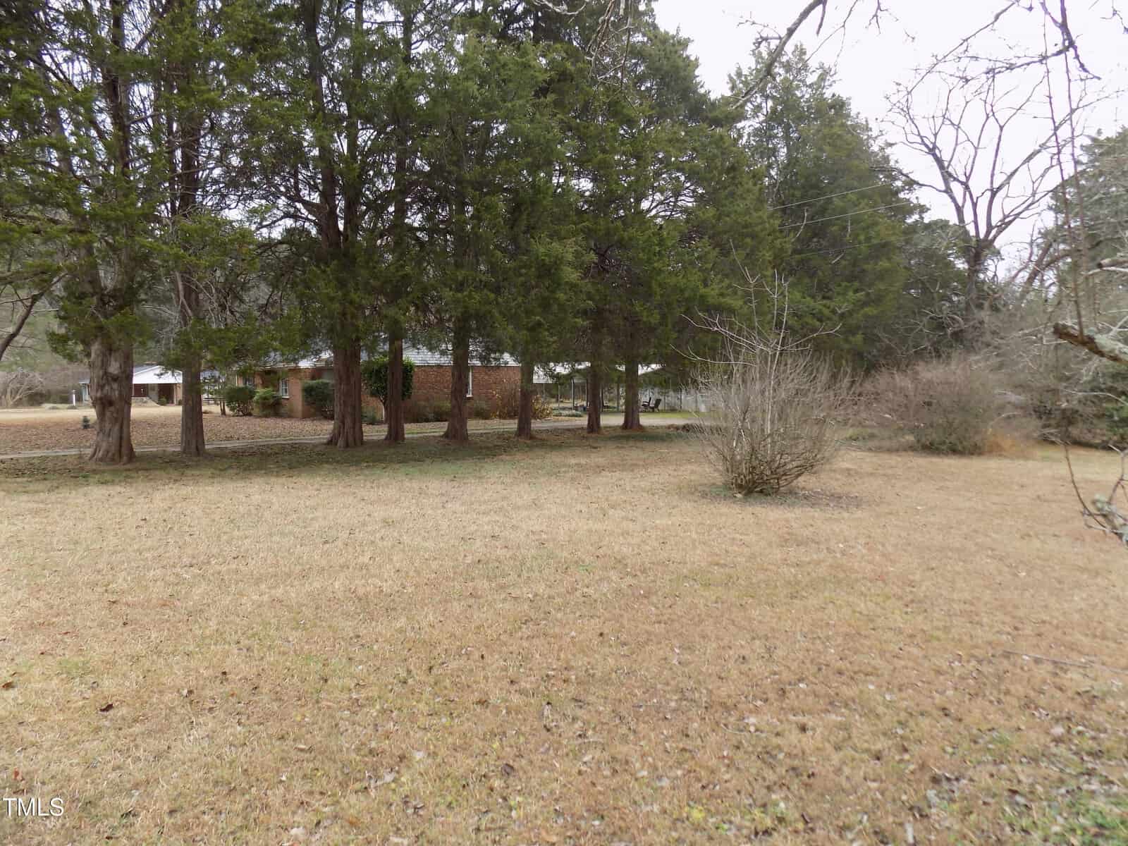 A grassy yard with several tall trees and bushes, with a brick house partly visible in the background. The sky is overcast, and the scene appears quiet and residential.