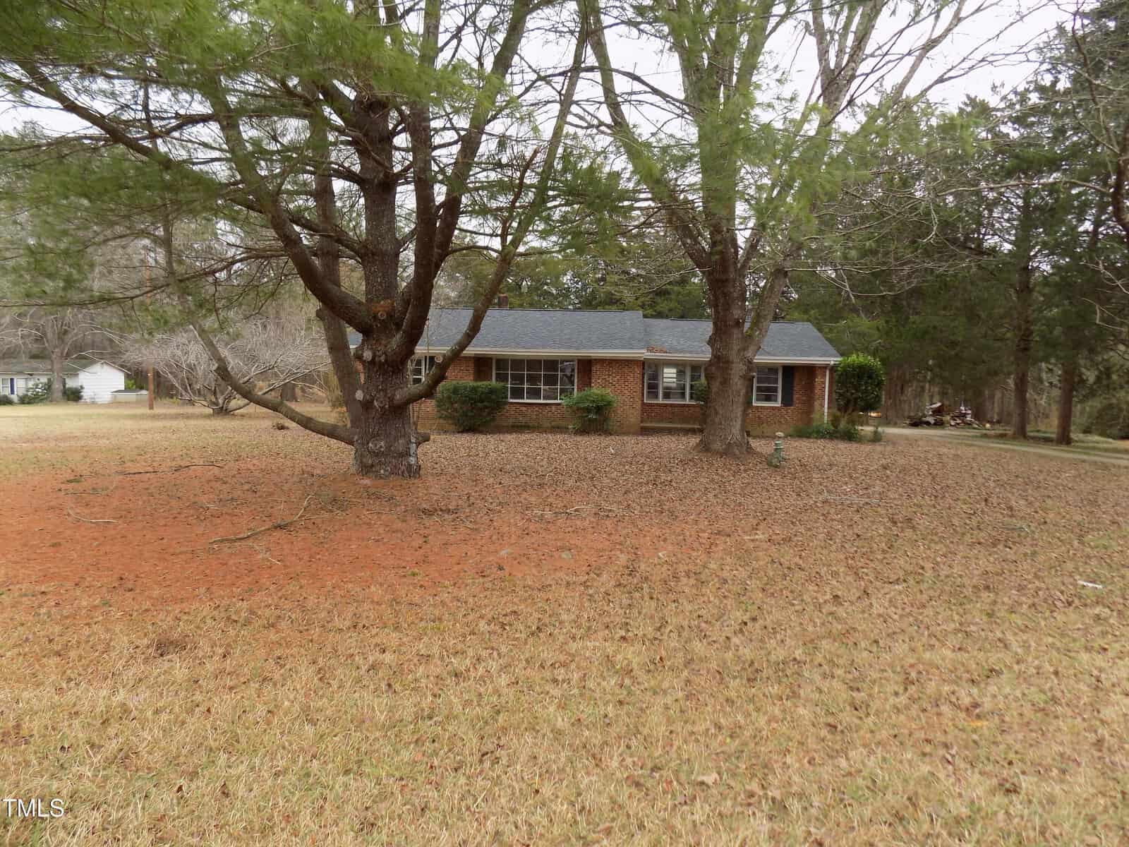 A single-story brick house with a gray roof is partially obscured by two large trees in the front yard. The lawn is covered with brown pine needles and grass, and other trees are visible in the background.