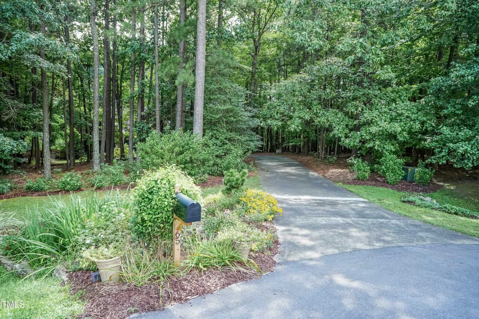 A paved driveway curves into a wooded area, bordered by dense green trees and shrubs. A black mailbox with the number 693 is surrounded by flowering plants at the driveway entrance.