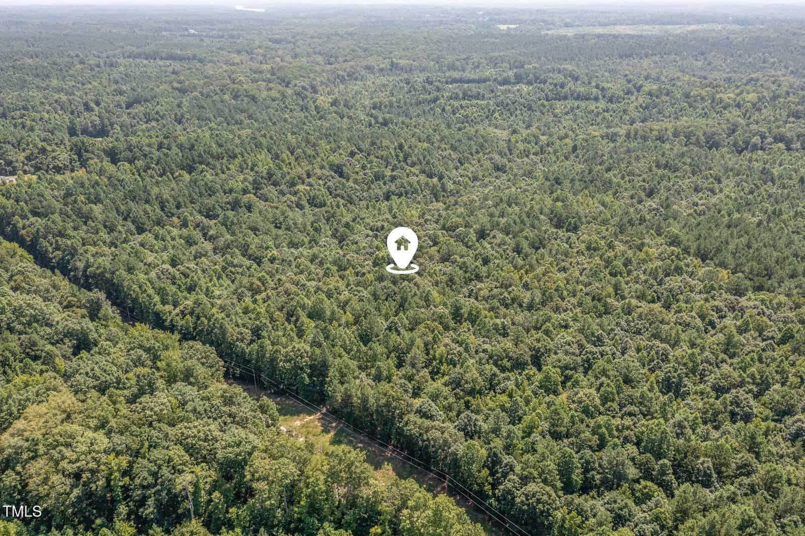 Aerial view of a large, densely wooded forest near Henderson with a white map pin icon marking 0 Williams Lane in the center. A road is visible cutting through the trees at the bottom left of the image.
