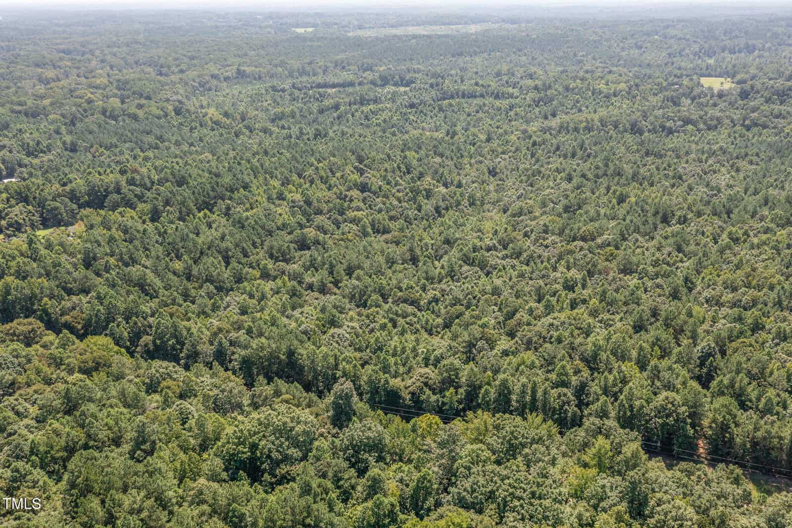 Aerial view of a dense, green forest stretching to the horizon under a hazy sky, with a faint road or utility line visible near the bottom of the image.