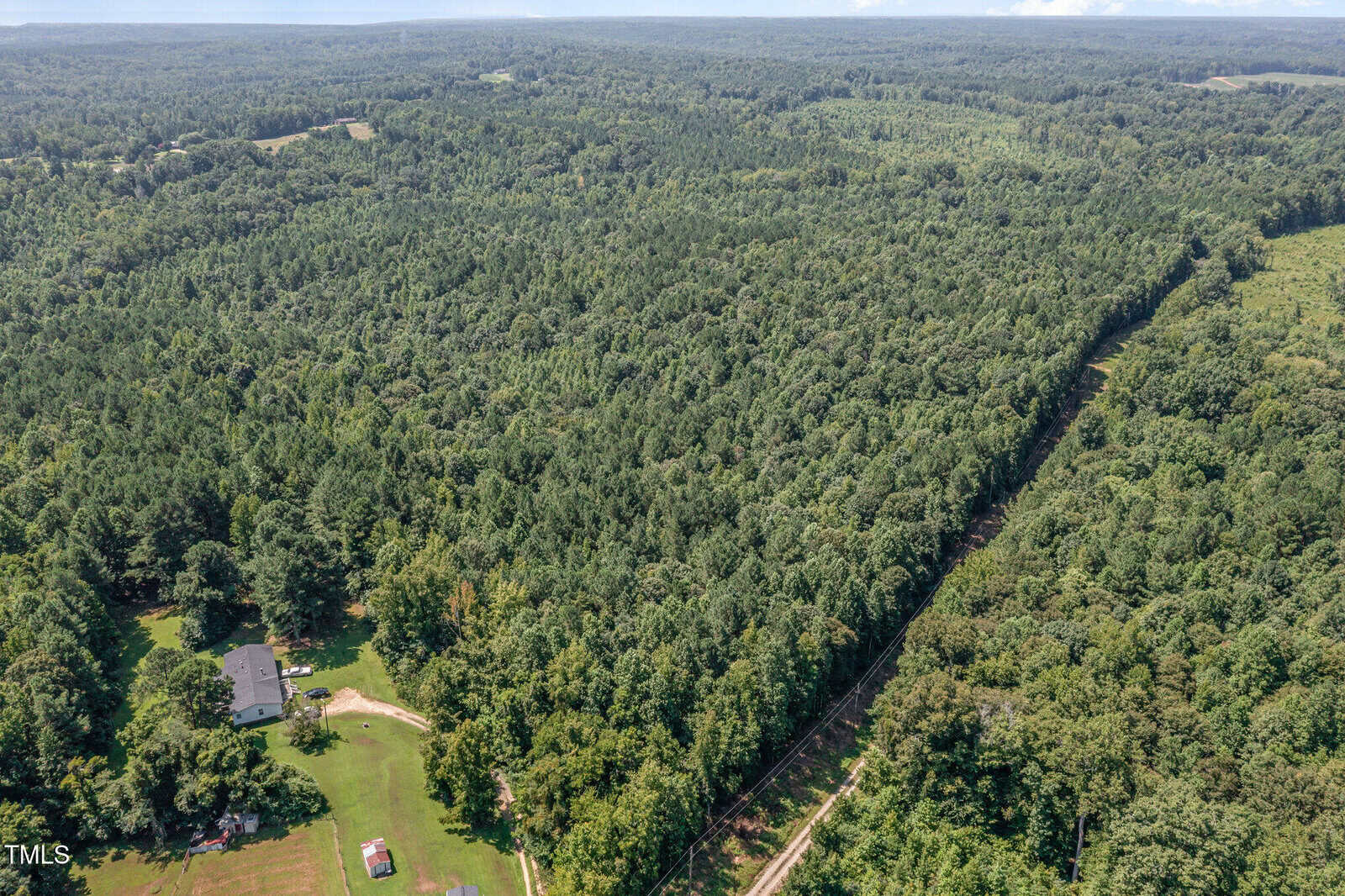 Aerial view of a dense, green forest with a small house and open grassy area in the lower left corner. A narrow, cleared path runs diagonally through the trees, and the landscape extends to the horizon.