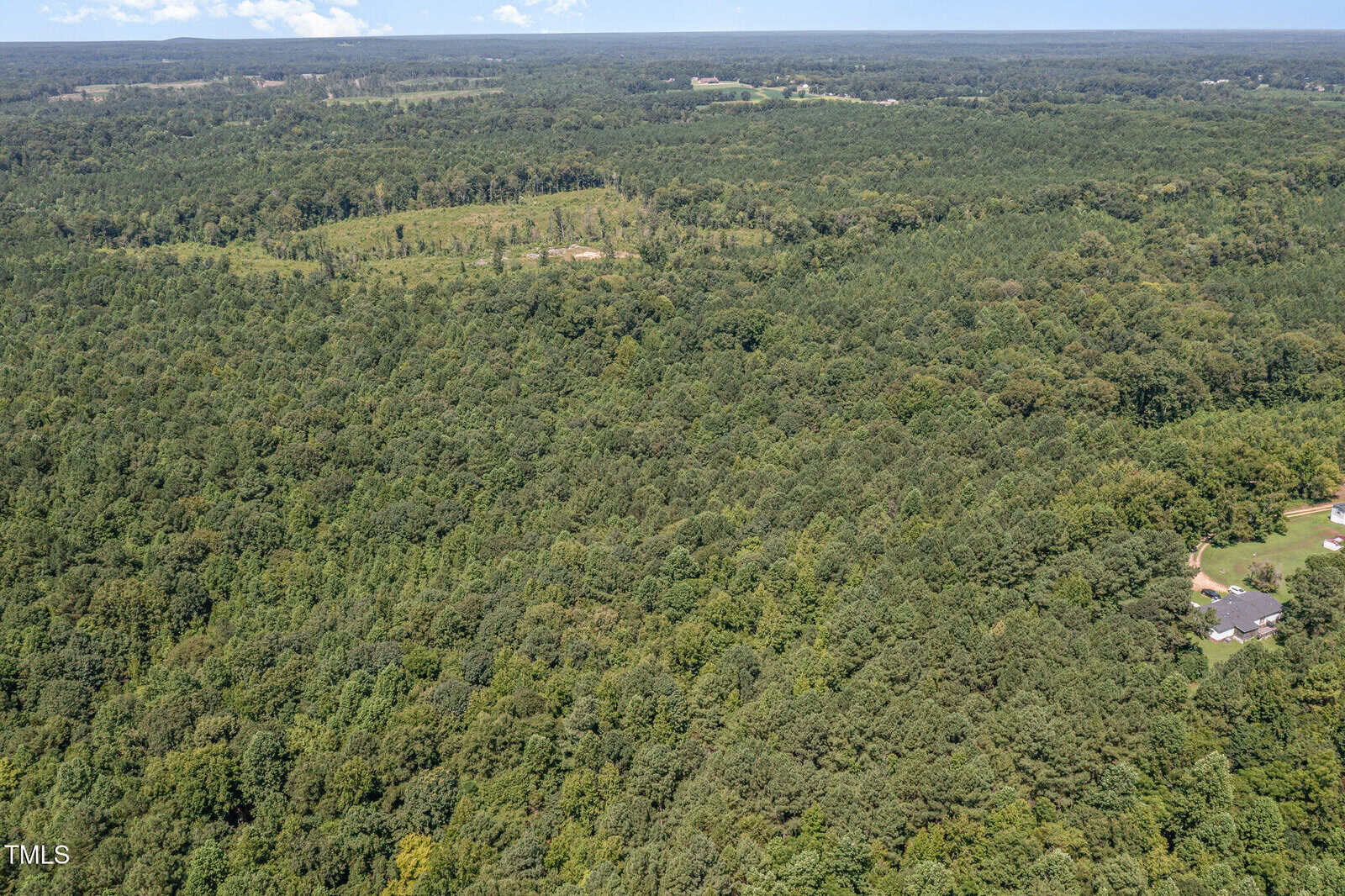 Aerial view of a large, densely forested area with a few houses visible at the edge of the trees; open fields and distant tree lines are seen in the background under a partly cloudy sky.