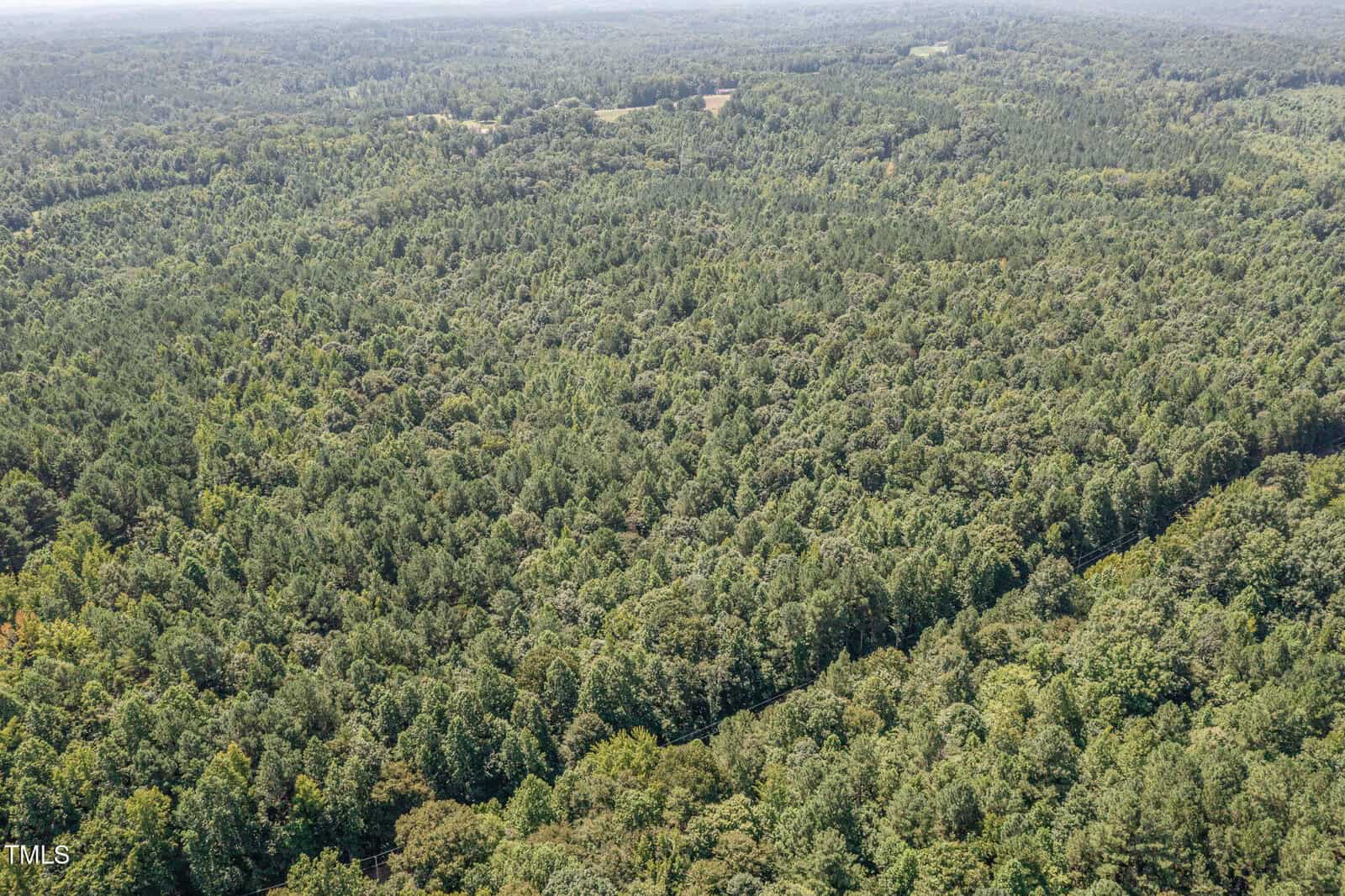 Aerial view of a large, dense forest with trees covering rolling hills. The landscape stretches into the distance with a few clearings visible. The sky is clear and the overall scene is lush and green.