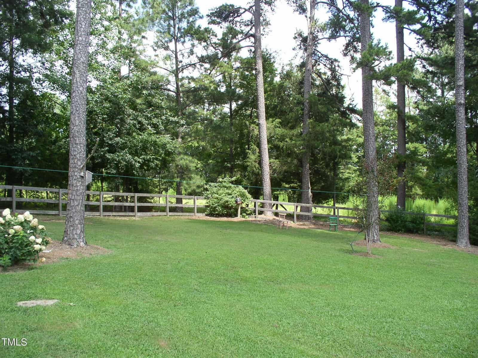 A grassy backyard with tall pine trees, a wooden fence, and a few small shrubs and flowers. The scene is bordered by dense woods in the background under a partly cloudy sky.