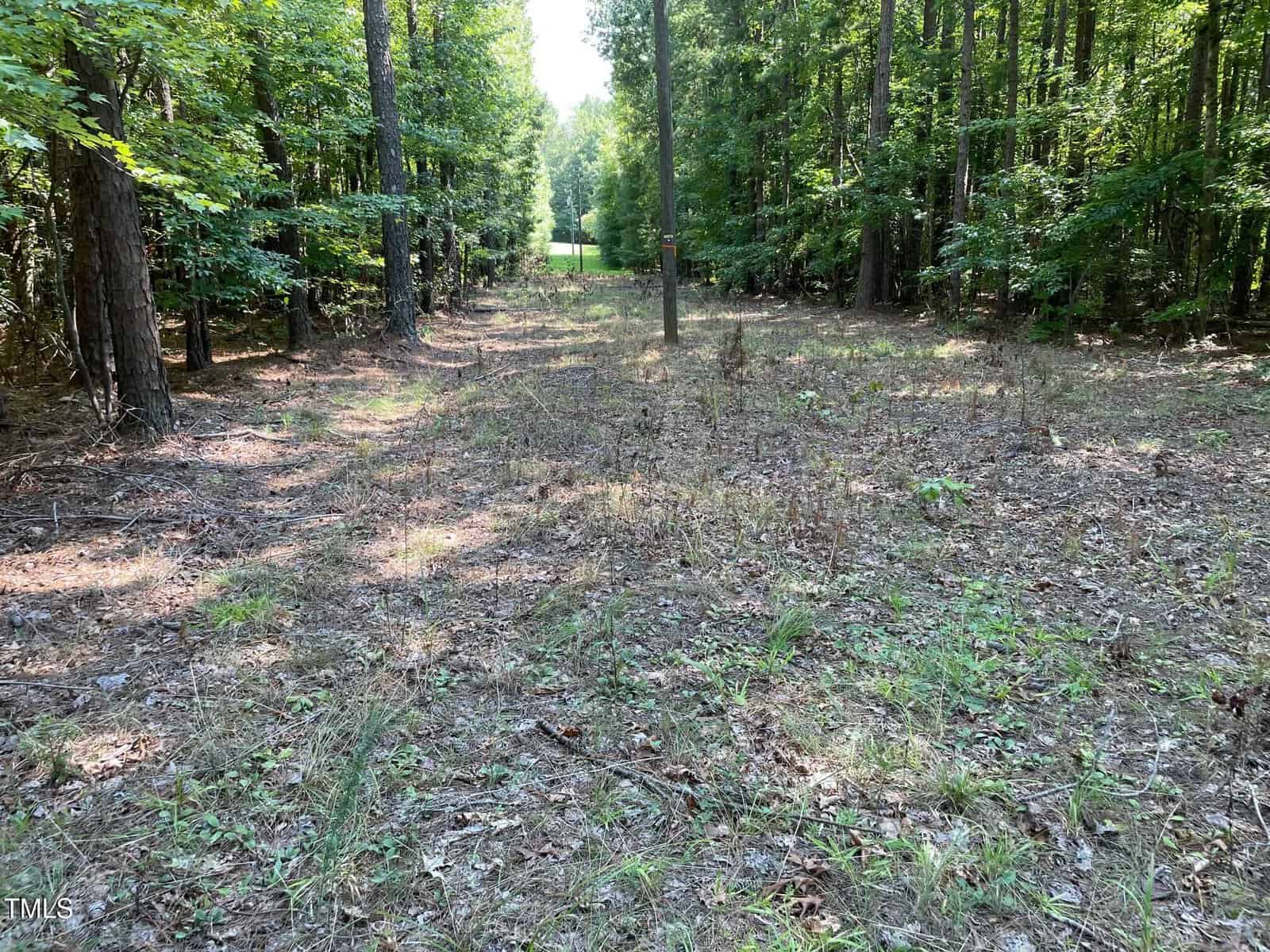 A cleared dirt and grass path runs through a wooded area with tall trees on both sides under daylight. The path leads toward a grassy, sunlit clearing in the distance.
