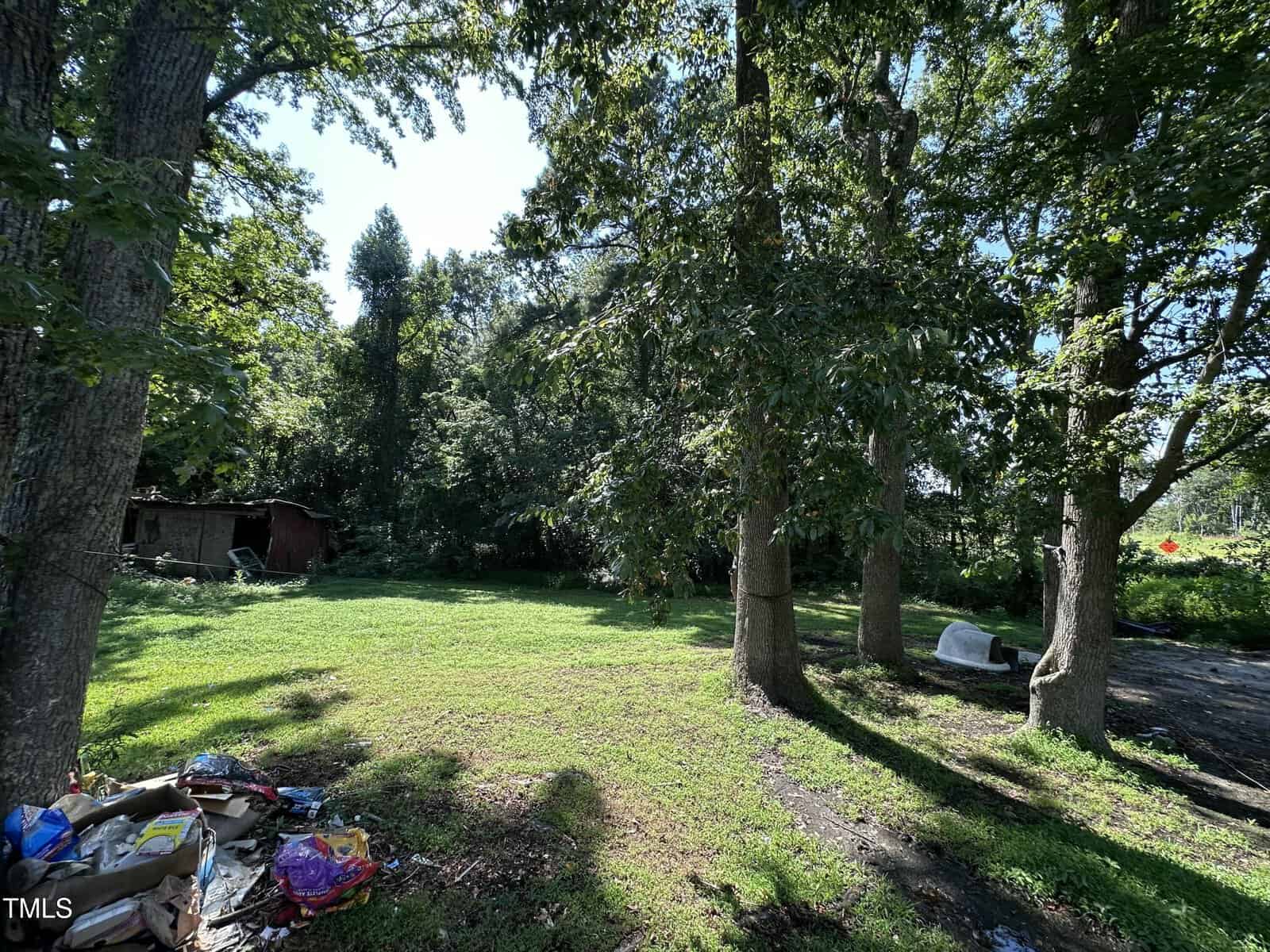 A grassy backyard area with several large trees, a small pile of trash in the foreground, and a wooden shed in the background surrounded by dense foliage under a clear sky.