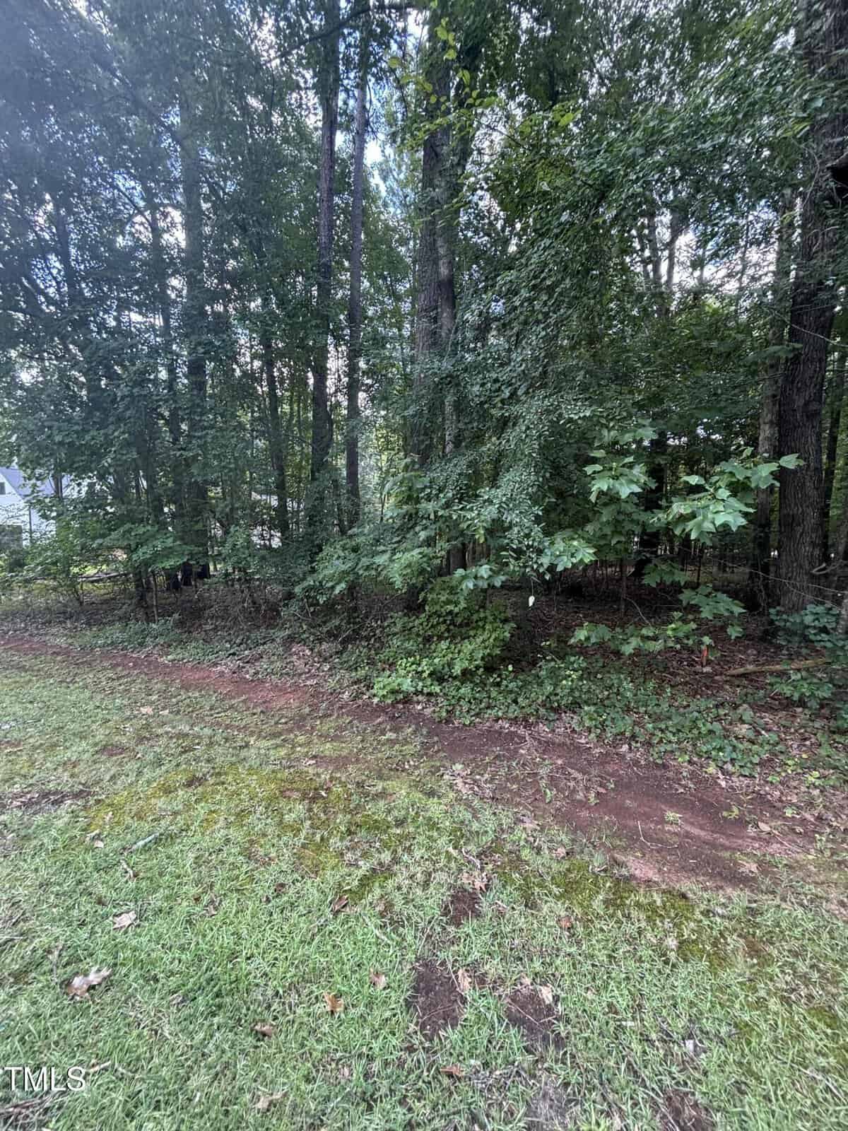 A narrow dirt path runs beside a patch of green grass, leading into a wooded area with tall trees and dense foliage on a sunny day. A house is partially visible through the trees on the left side.