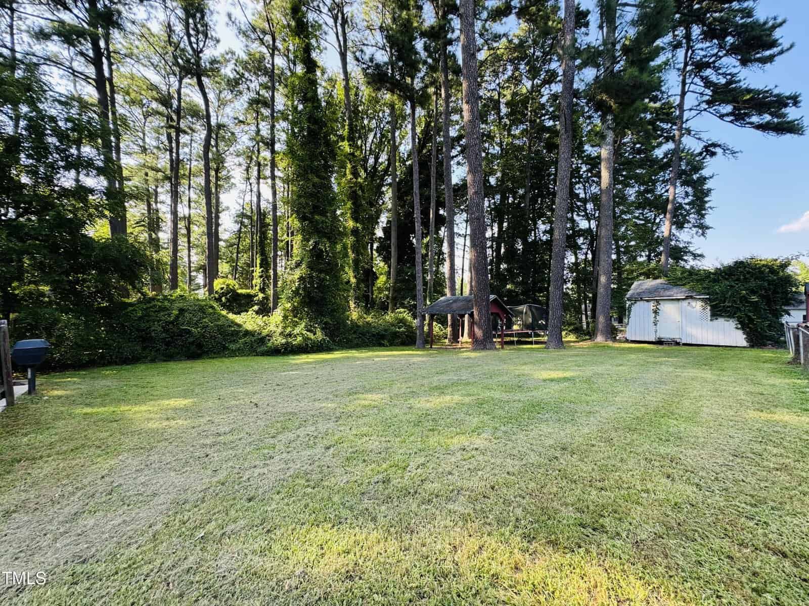 A grassy backyard with tall trees, a shed on the right, a grill on the left, and a wooden playset under the trees. The area is surrounded by dense greenery and bathed in sunlight.