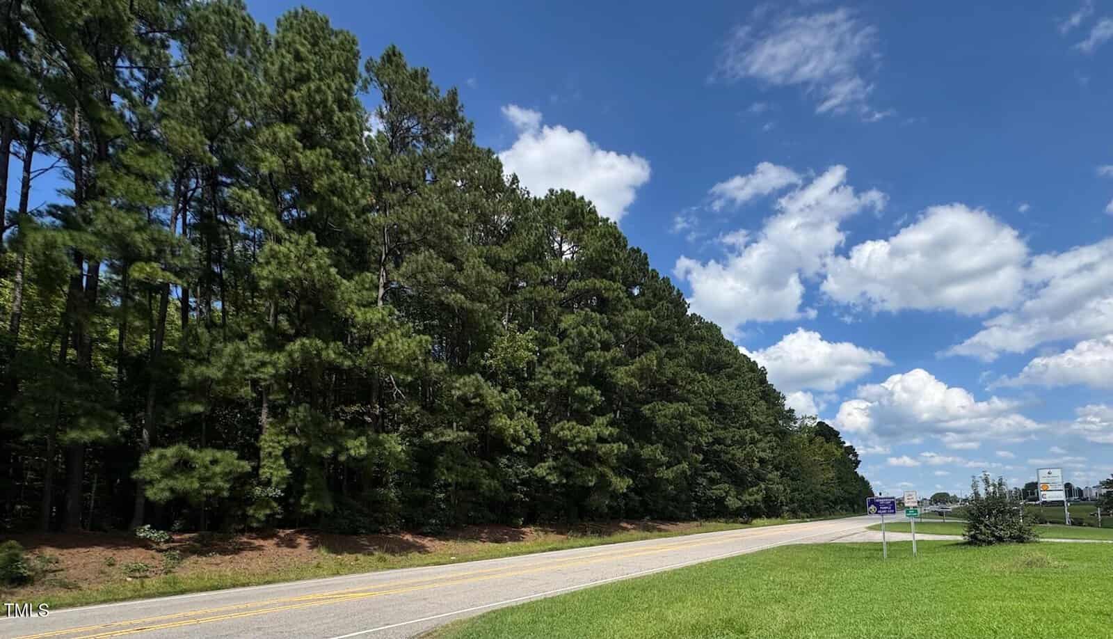 A two-lane road runs beside a dense line of tall pine trees under a blue sky with scattered white clouds. There is a grassy area along the roadside and some distant vehicles visible.