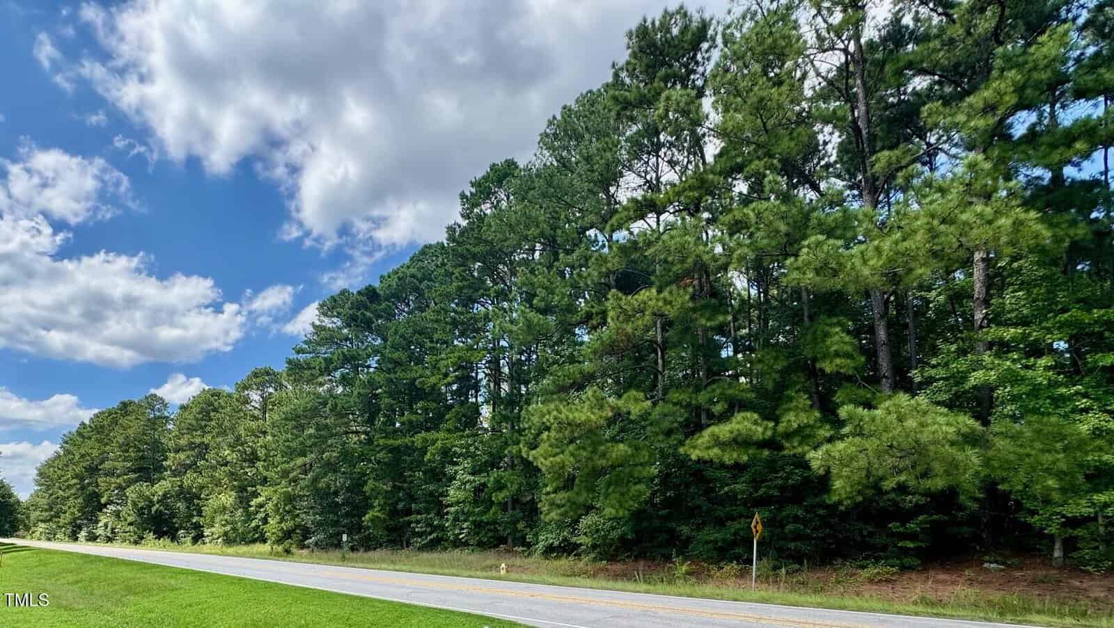 A two-lane road runs alongside a dense forest of tall pine trees under a partly cloudy sky, with green grass bordering the roadside.